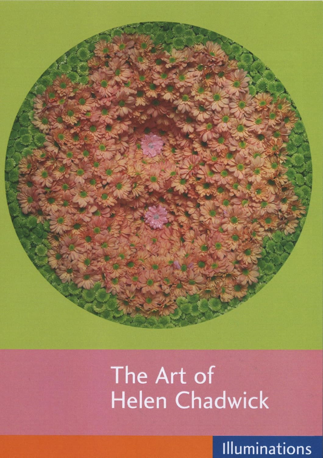 The Art of Helen Chadwick