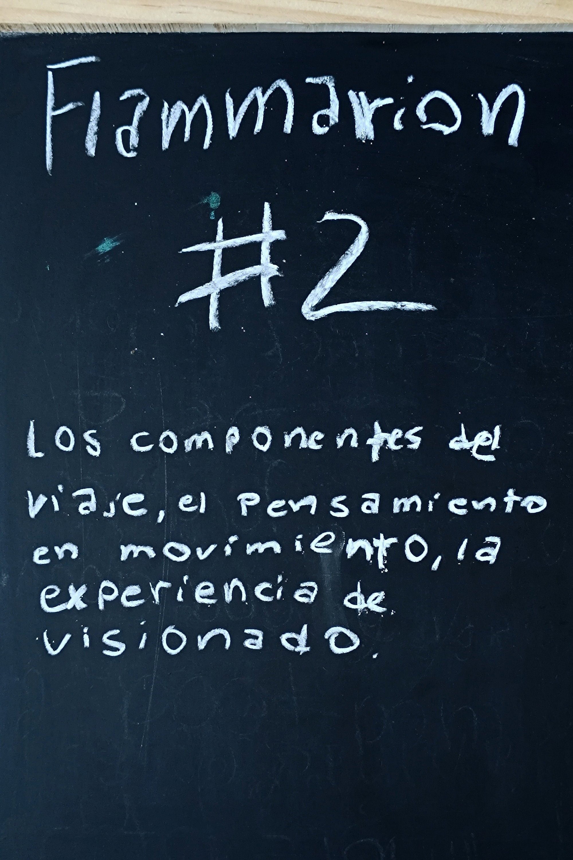 Flammarion #2: Los componentes del viaje, el pensamiento en movimiento y la experiencia de visionado.