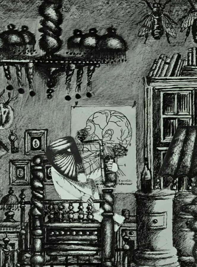 Camera obscura