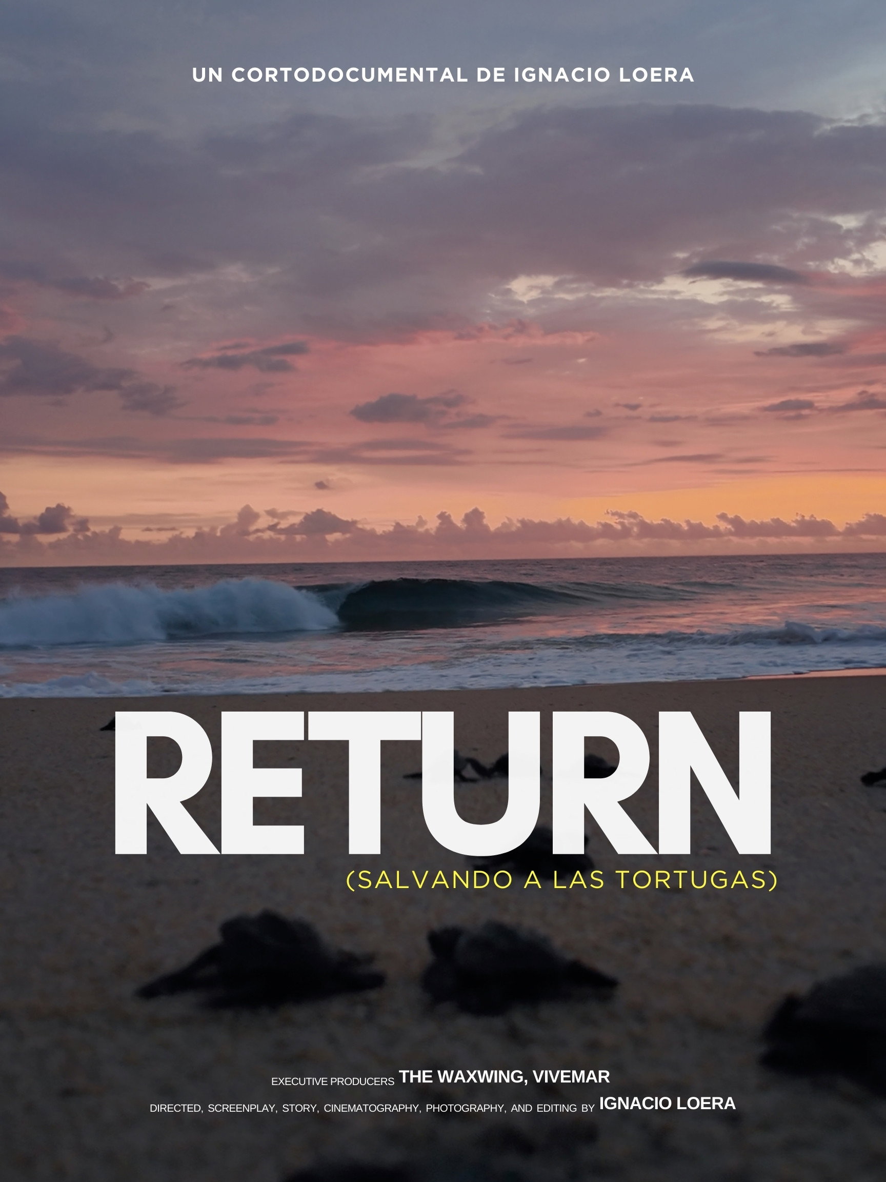Return: Salvando a las Tortugas