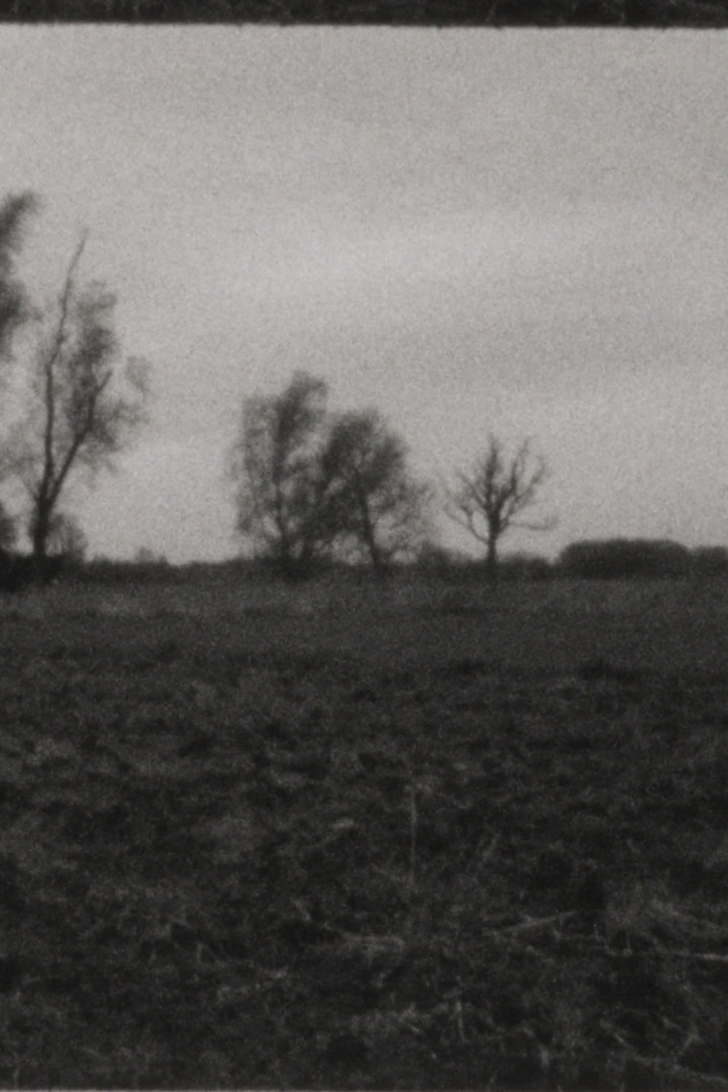 Landscape as Landscape 10