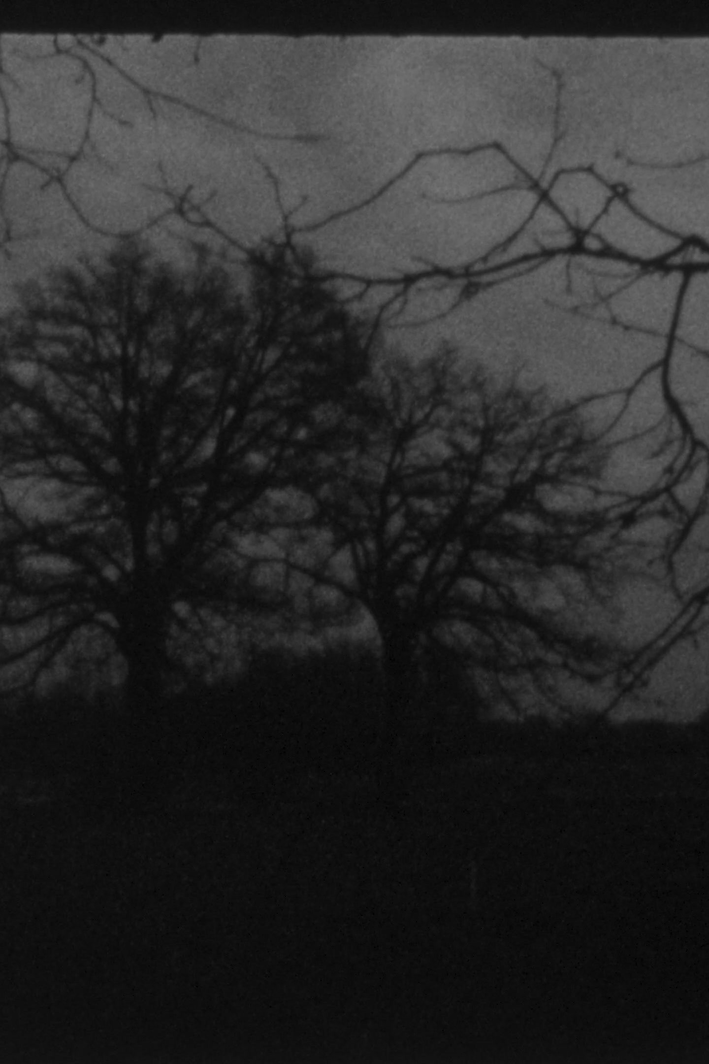 Landscape as Landscape 16