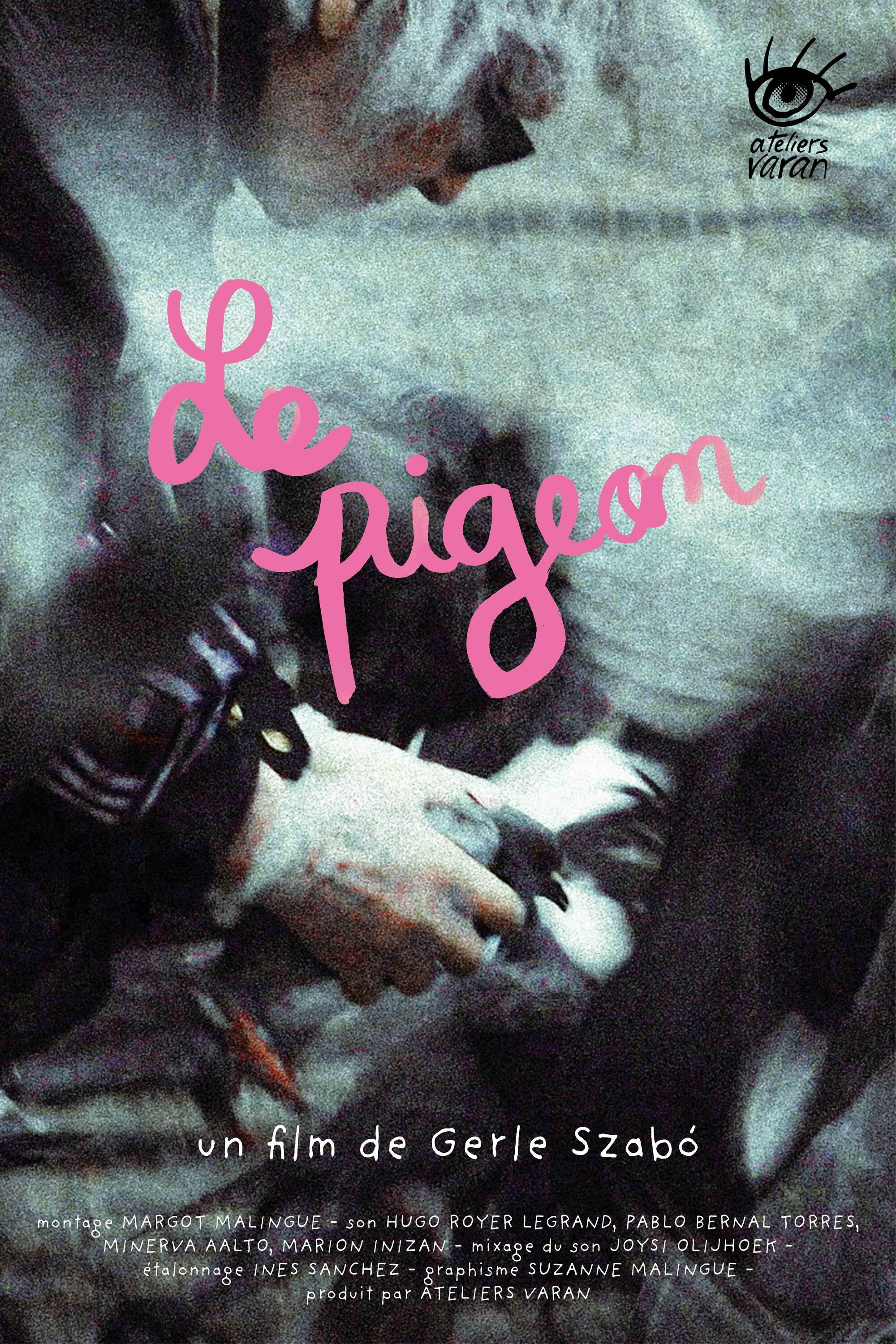 Le pigeon
