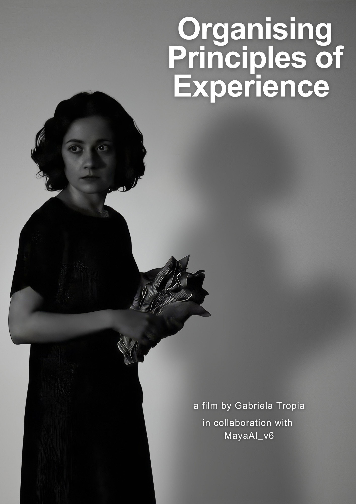 Organising Principles of Experience