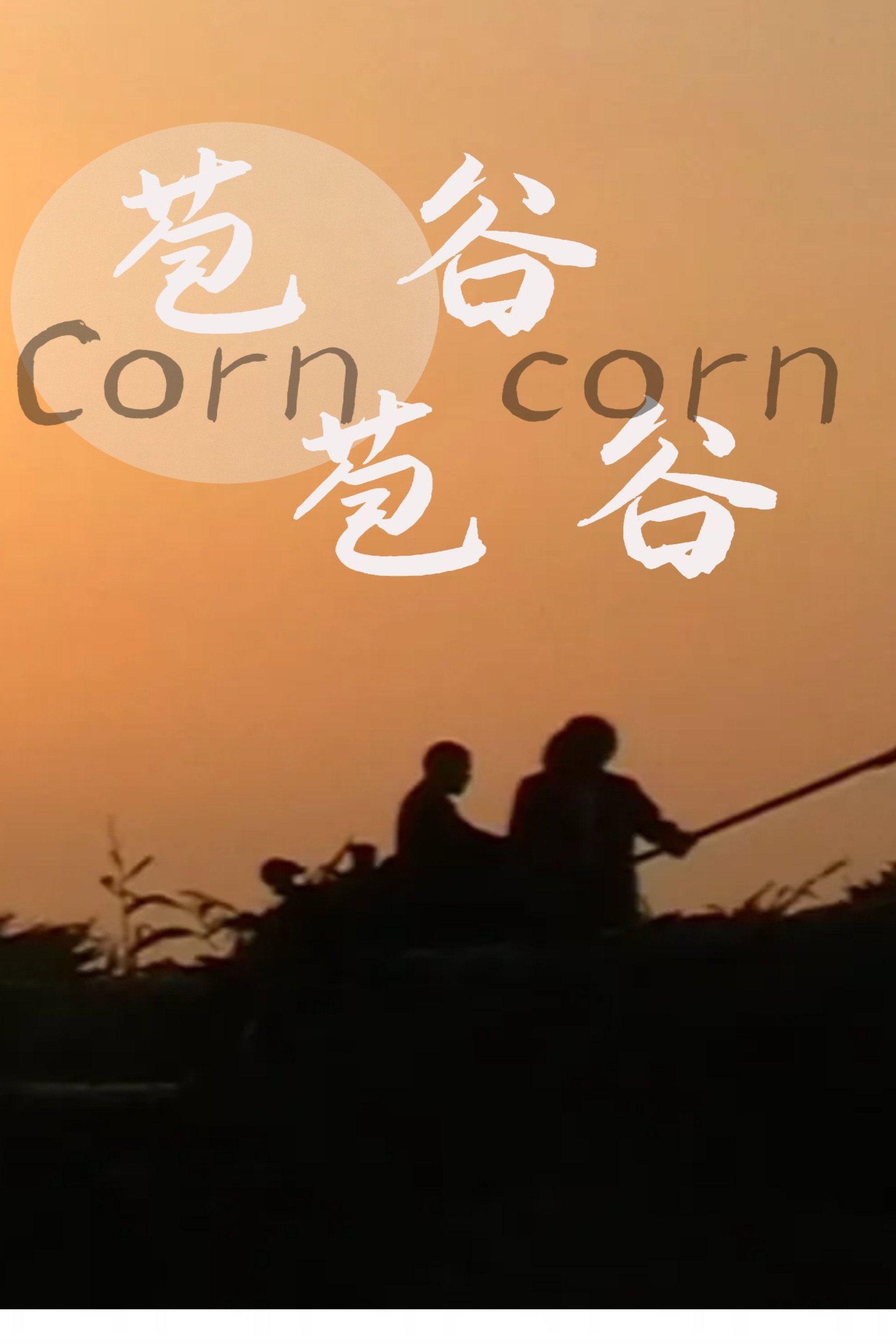 苞谷苞谷