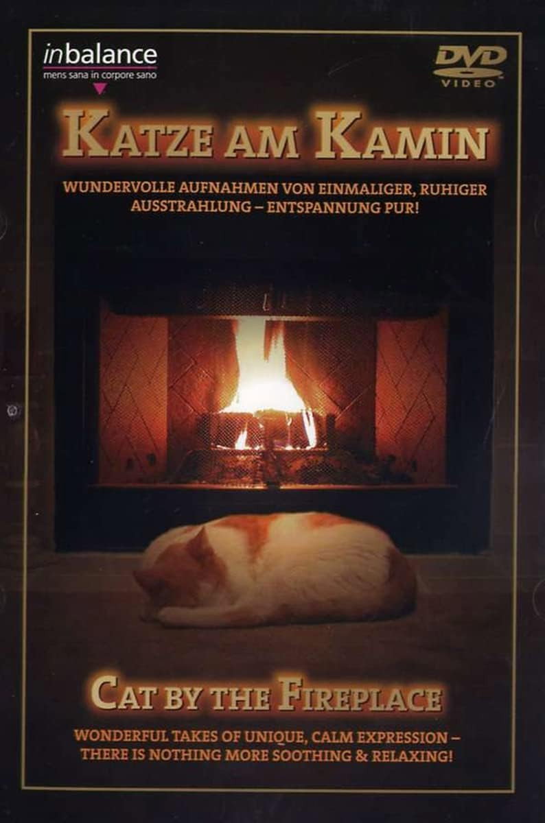 Cat by the Fireplace