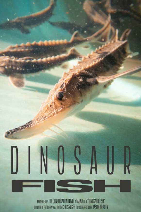 Dinosaur Fish