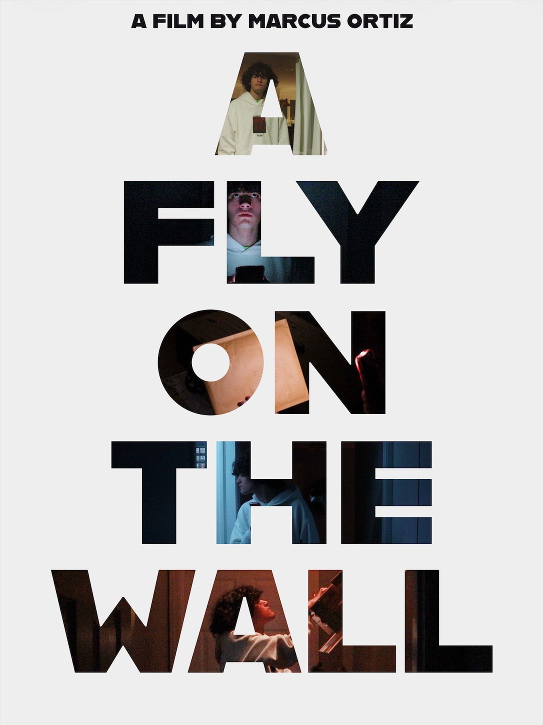 A Fly On The Wall