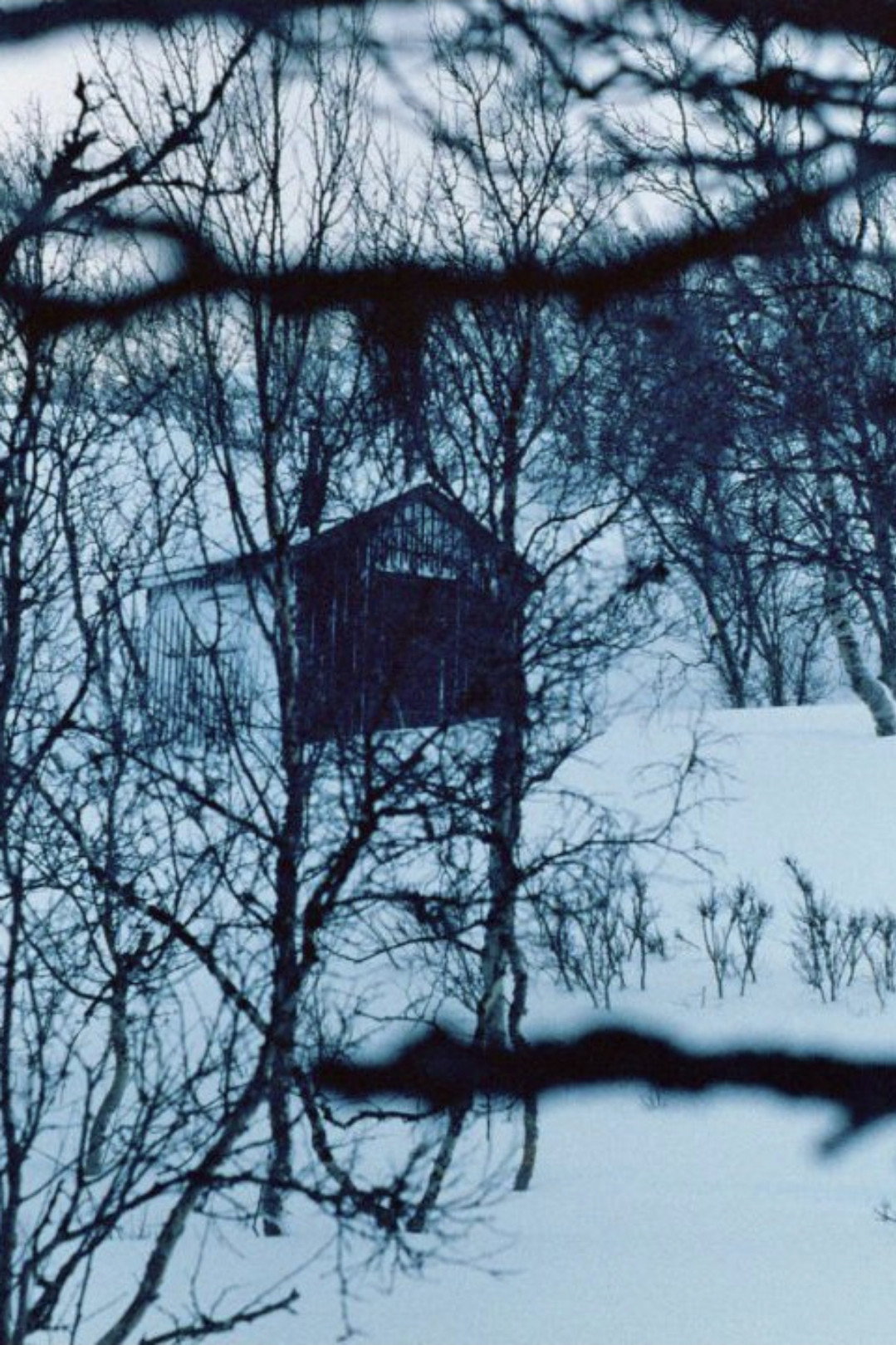 La Fille à la recherche de la cabane