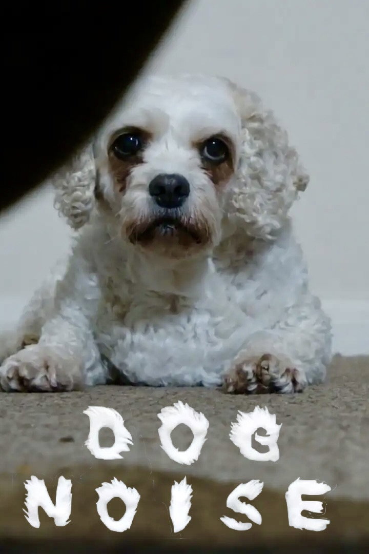 Dog Noise