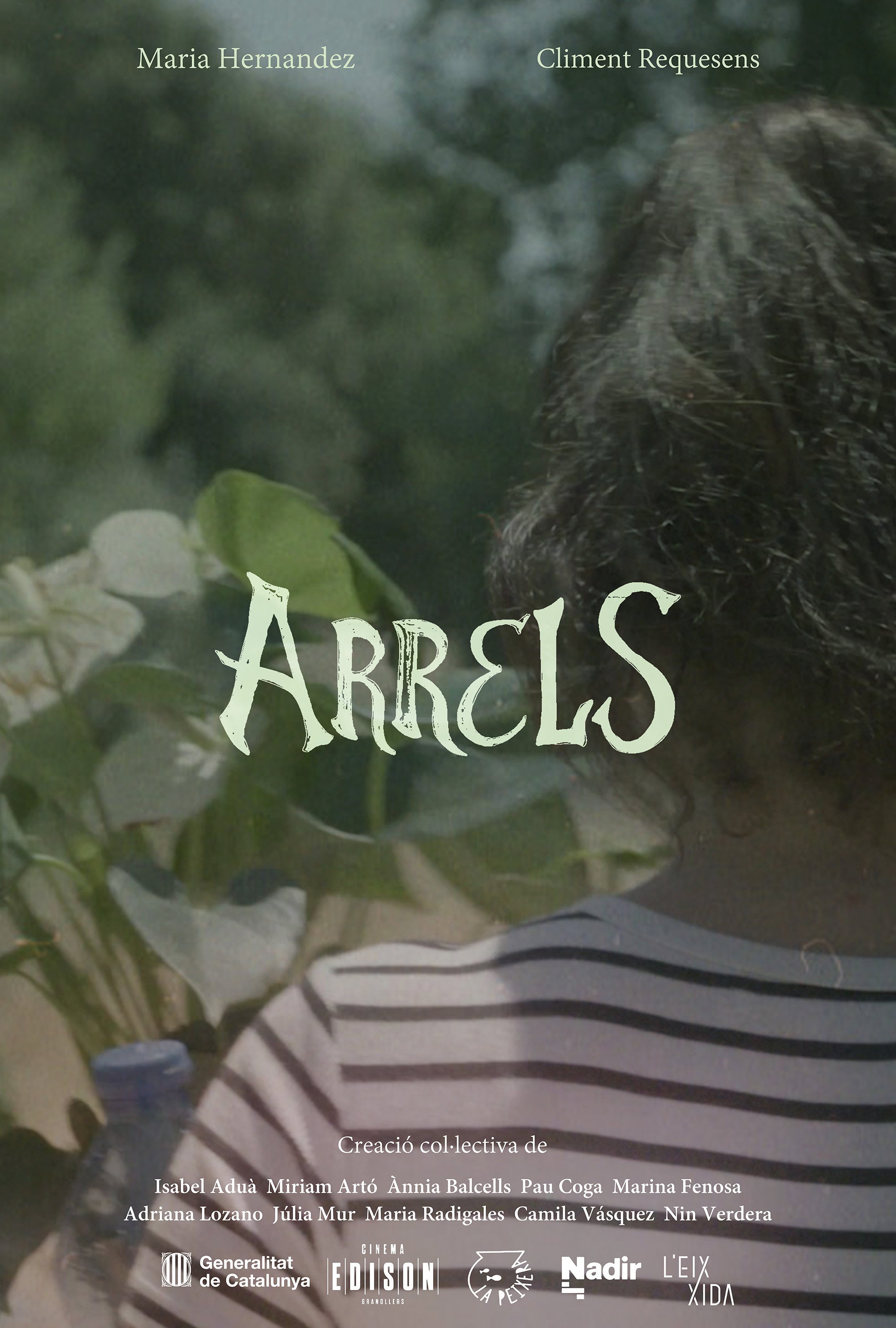 Arrels