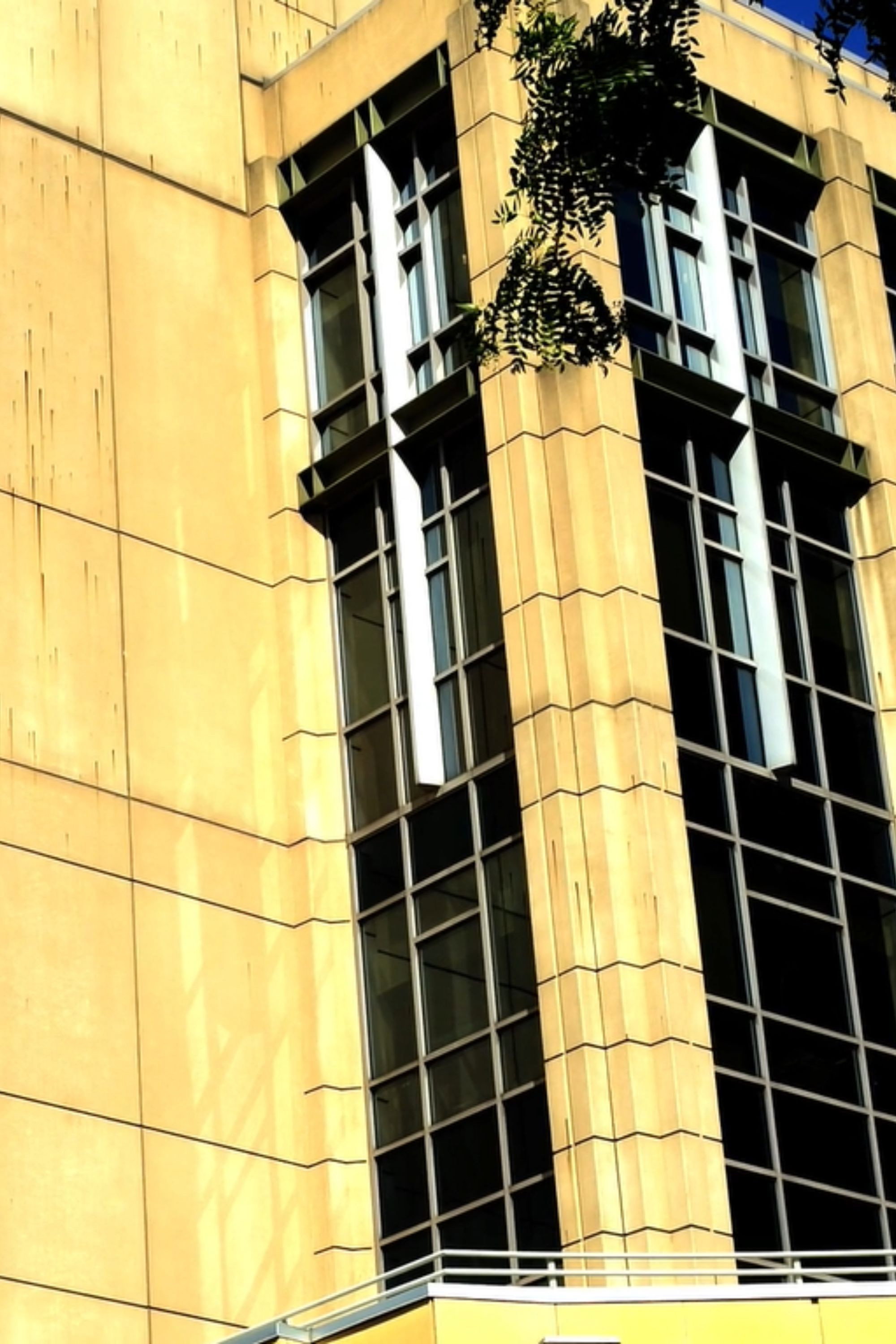 Journals 5: Buildings and Greenery