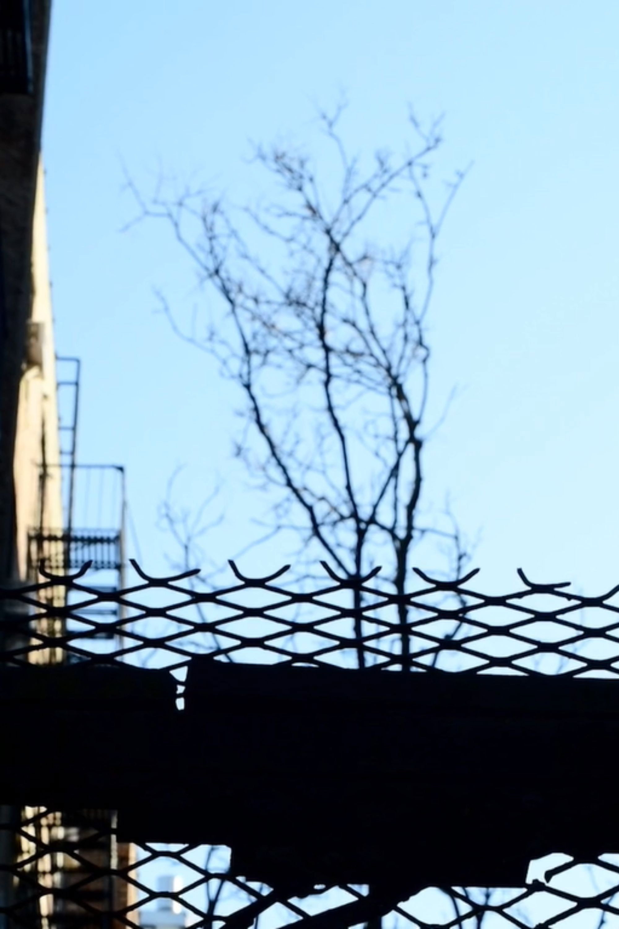 Journals 8: Alley on West 180th Street