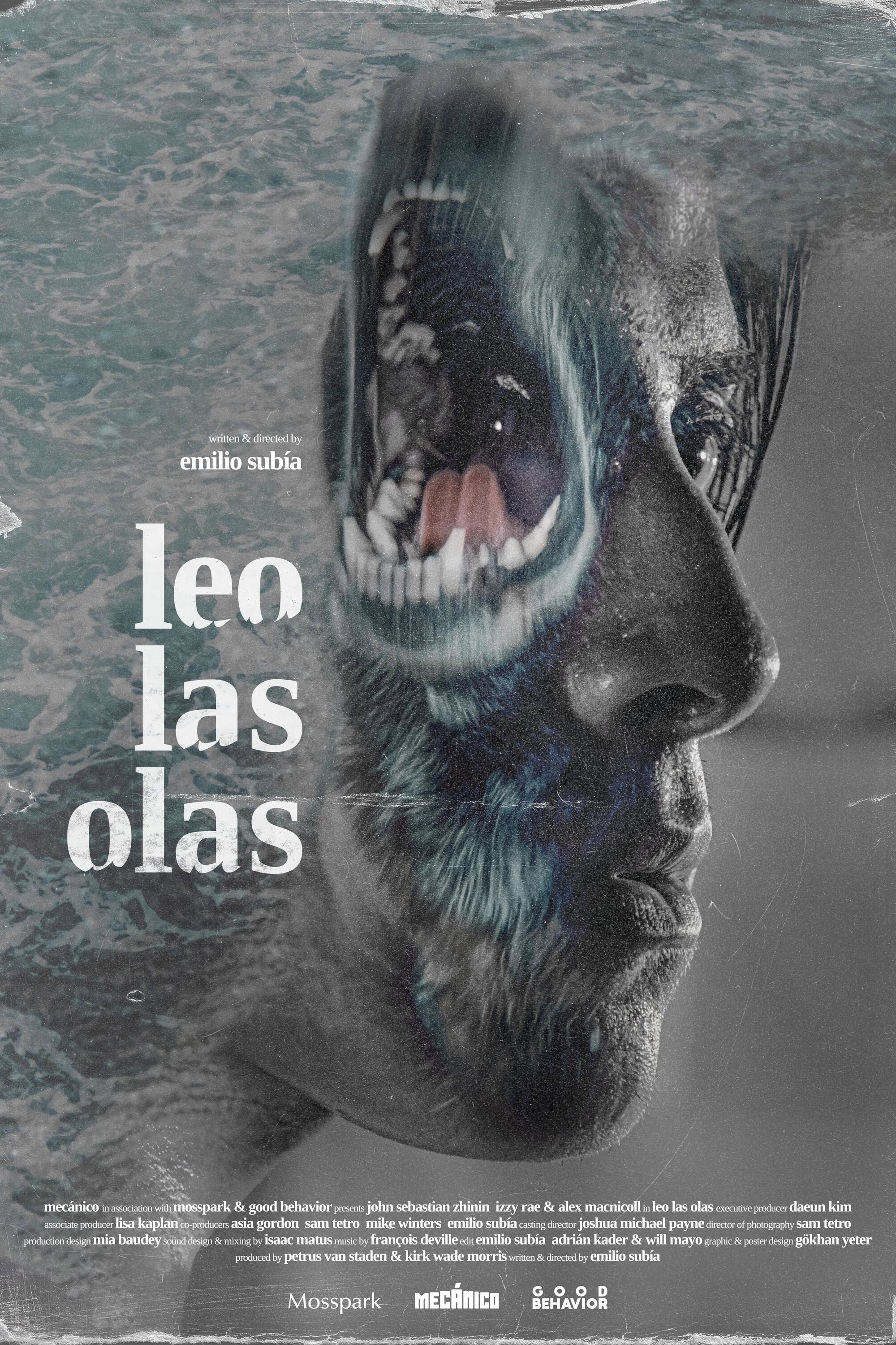 Leo las olas