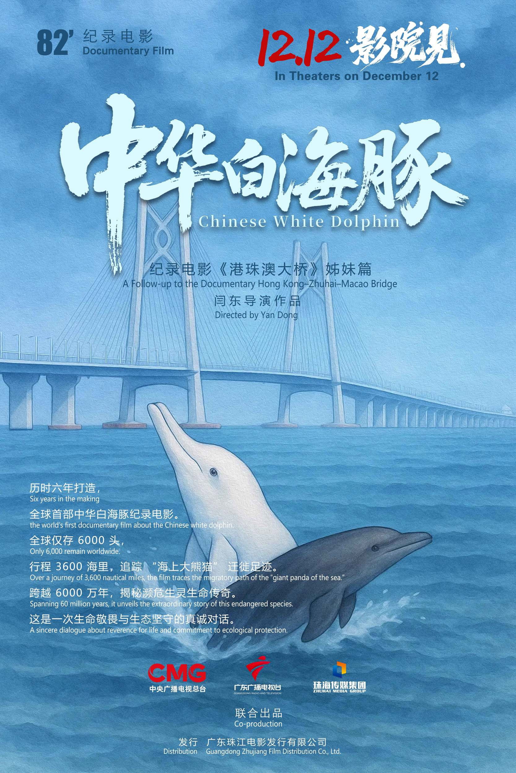 中华白海豚