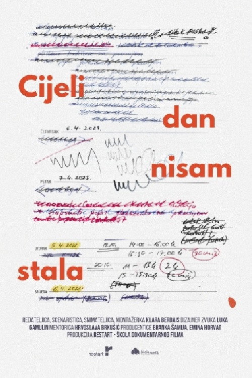 Cijeli dan nisam stala