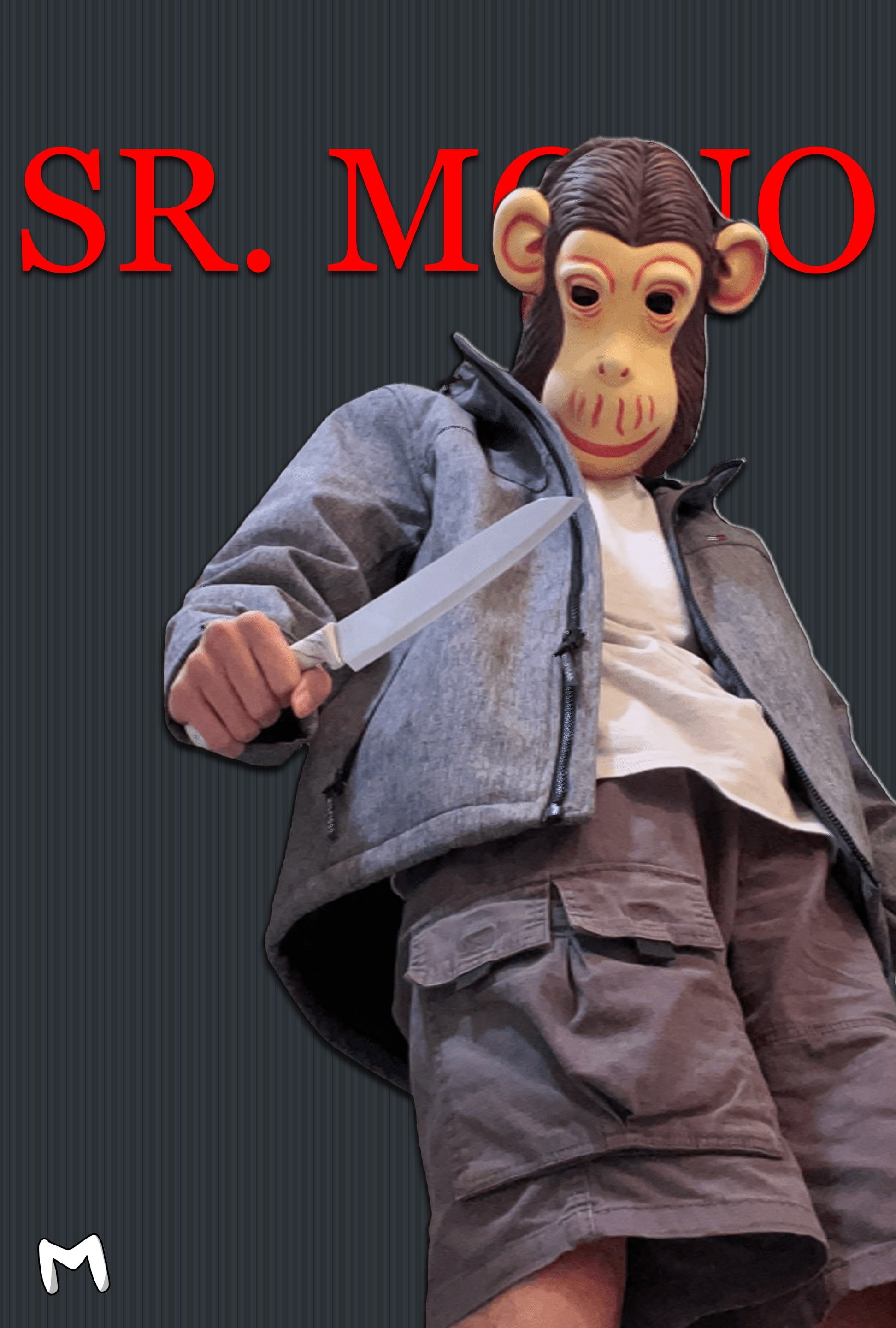 El Sr. Mono Limpia La Casa
