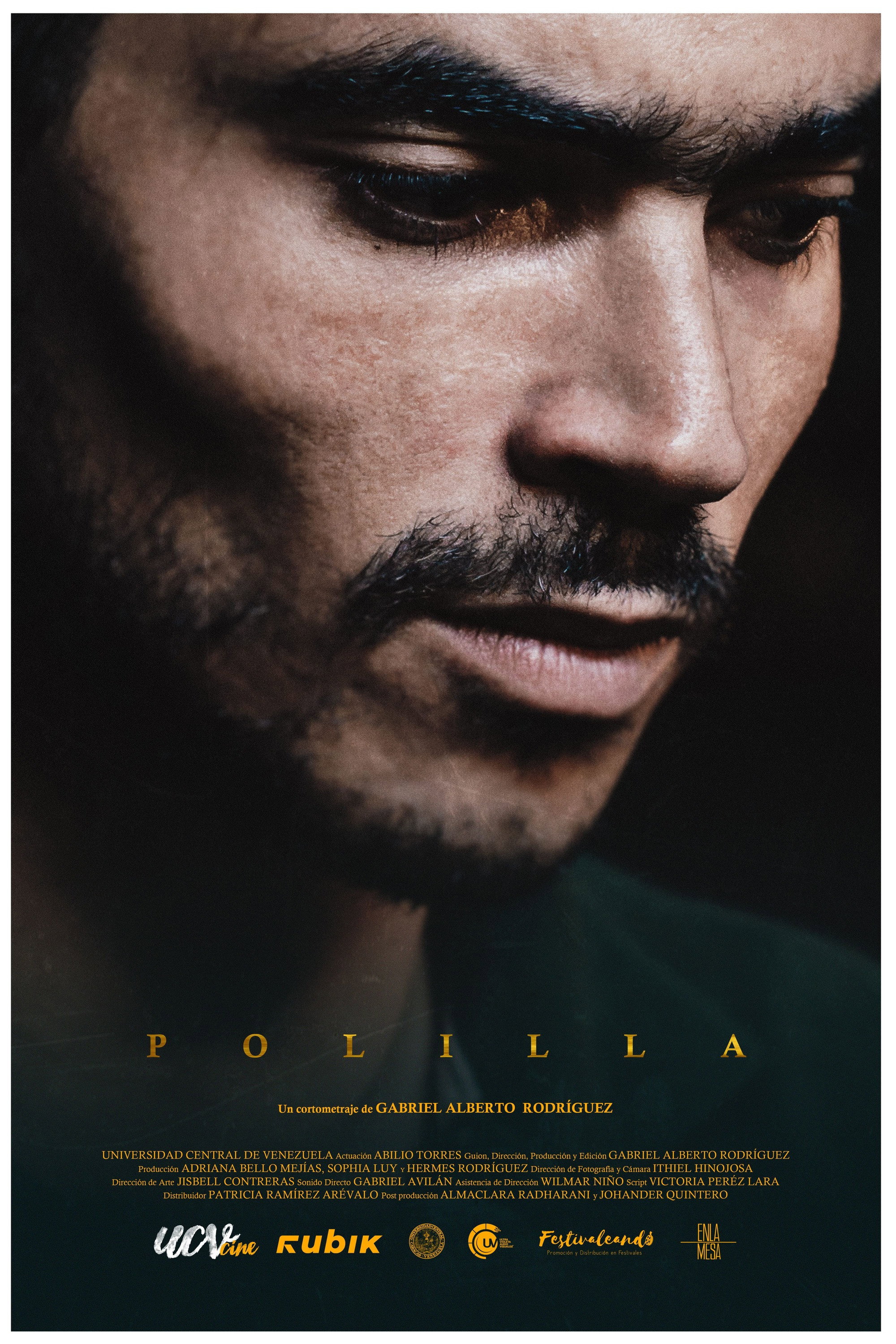 Polilla