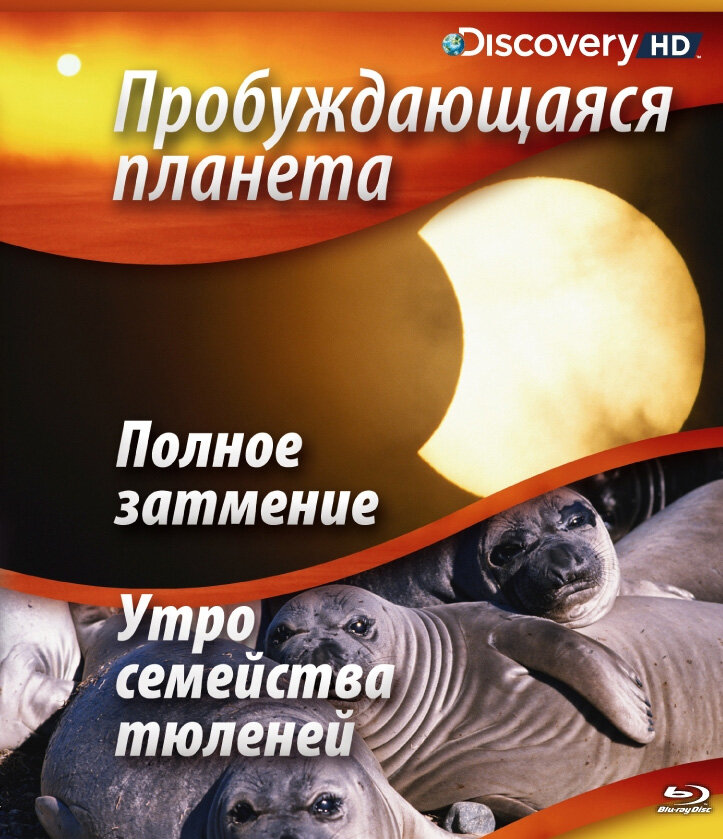 Пробуждающаяся планета