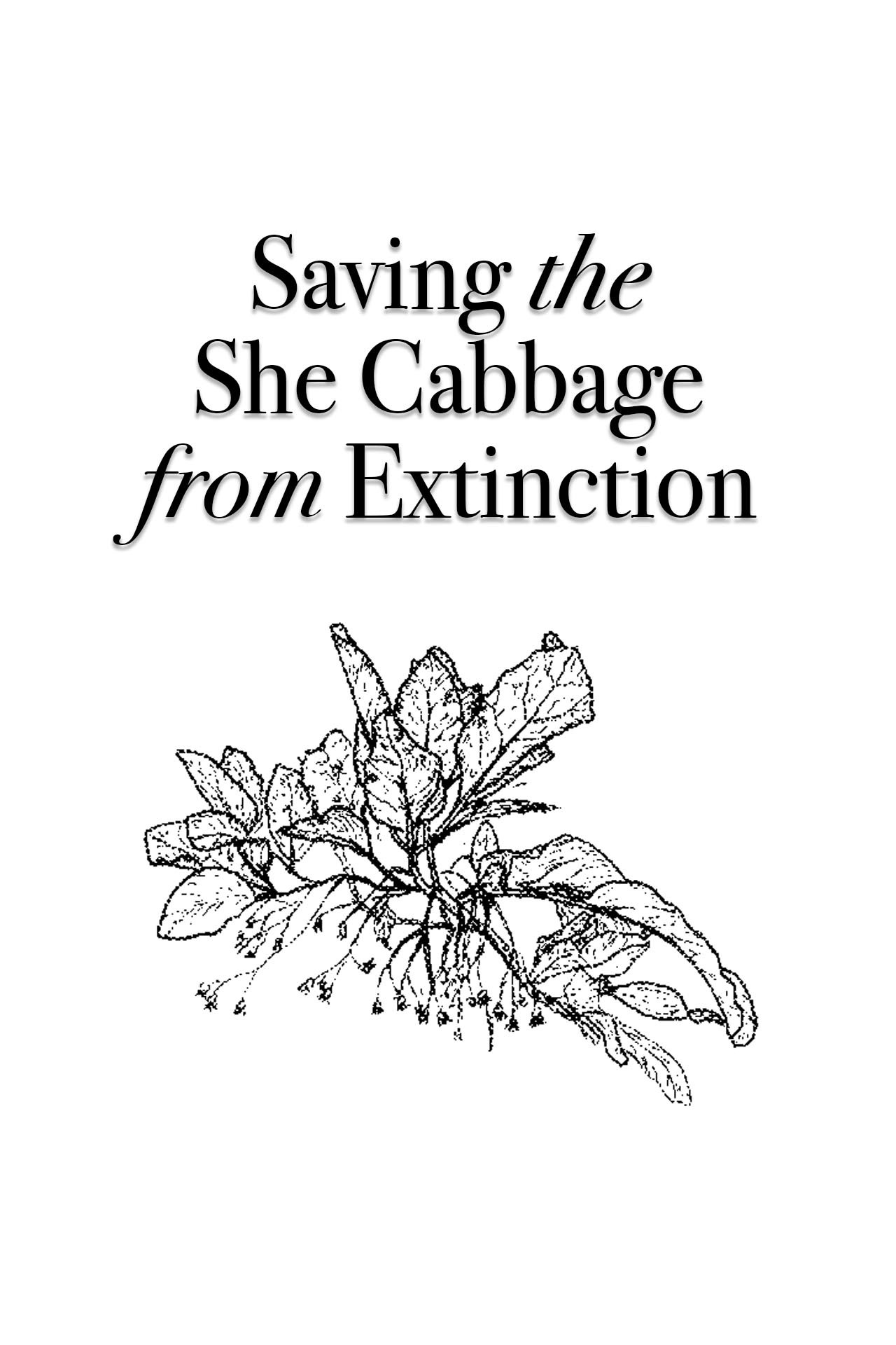 Saving the She Cabbage from Extinction