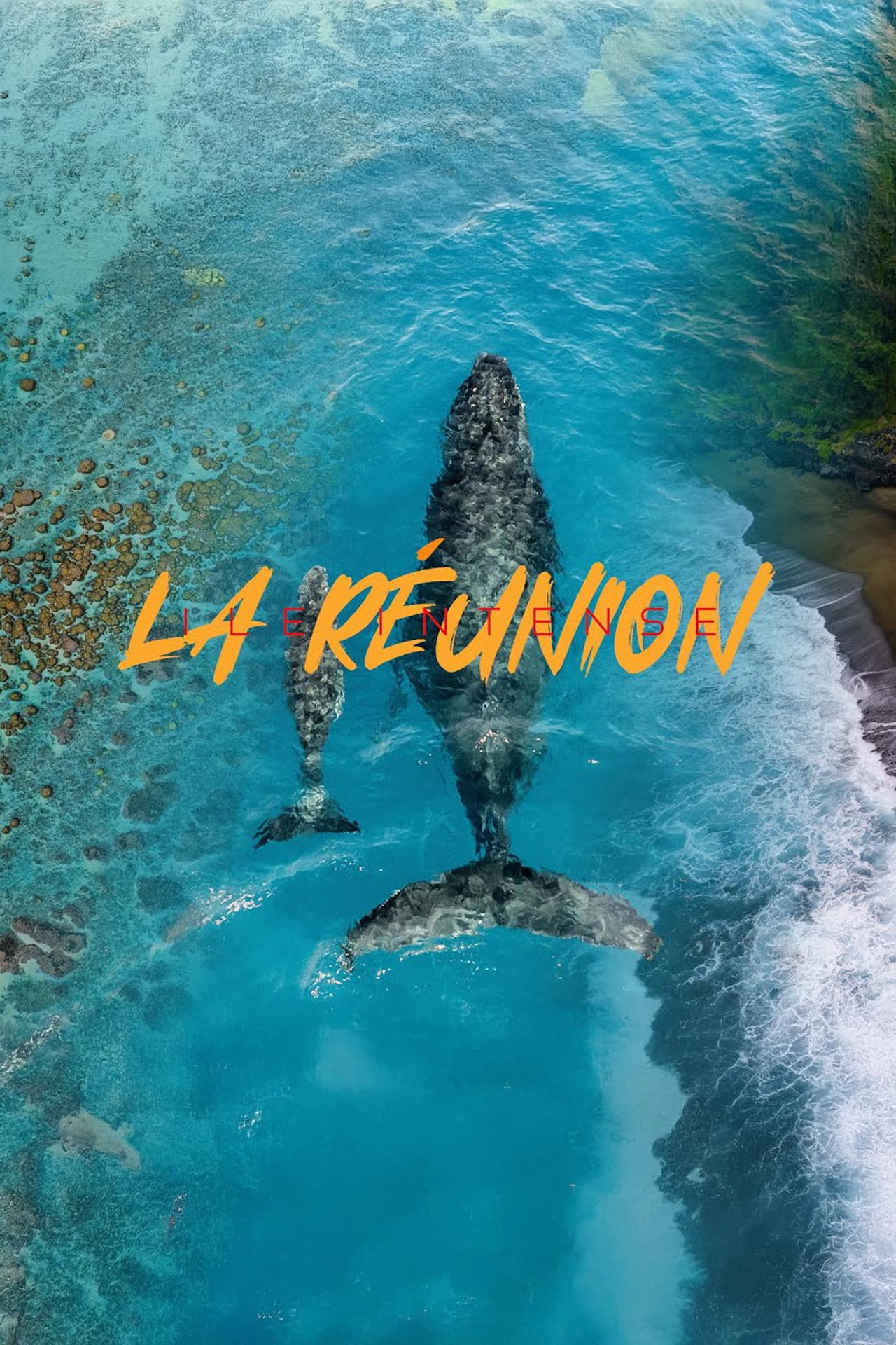 La Réunion: Ile Intense