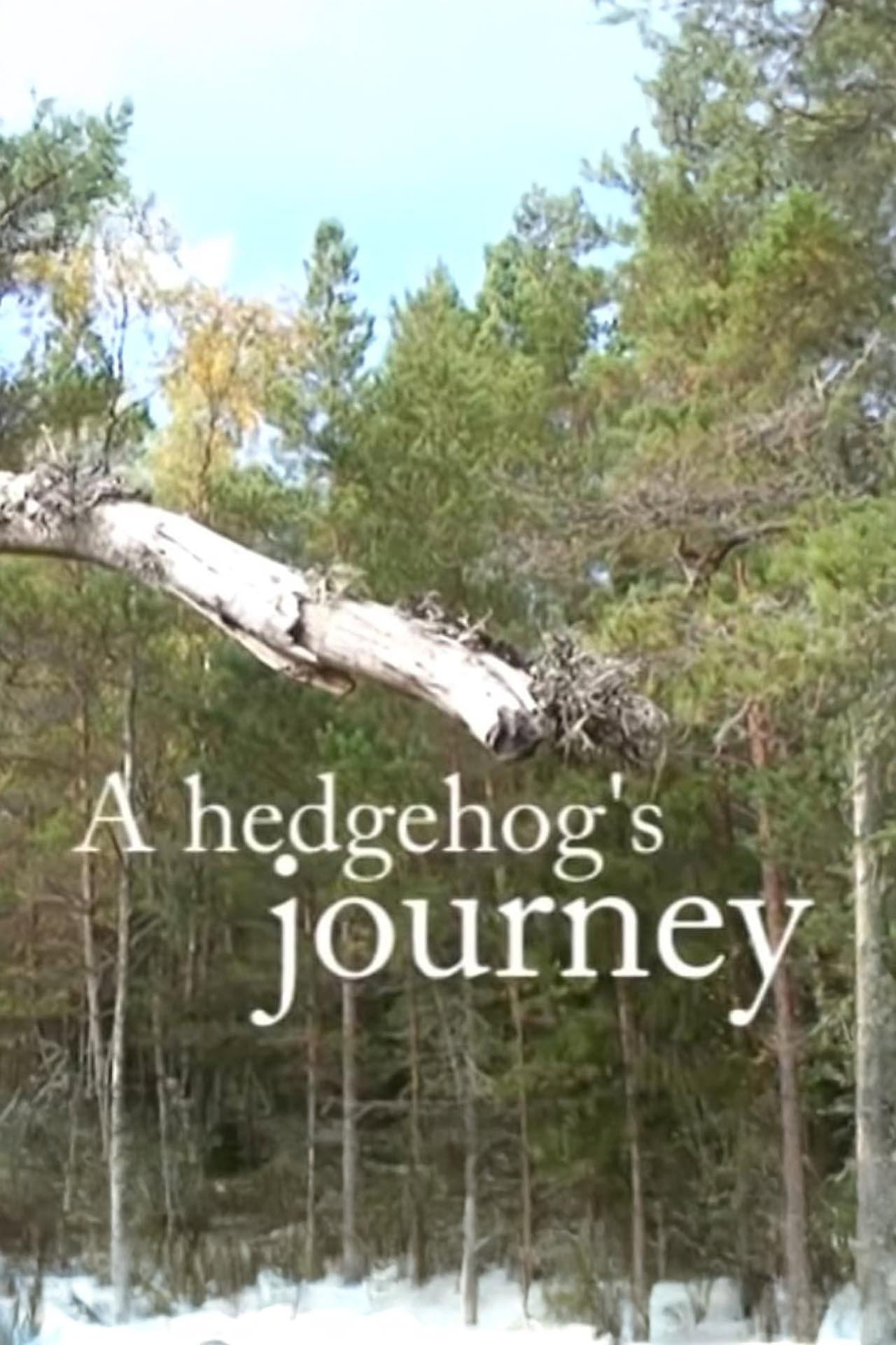 A Hedgehog's Journey