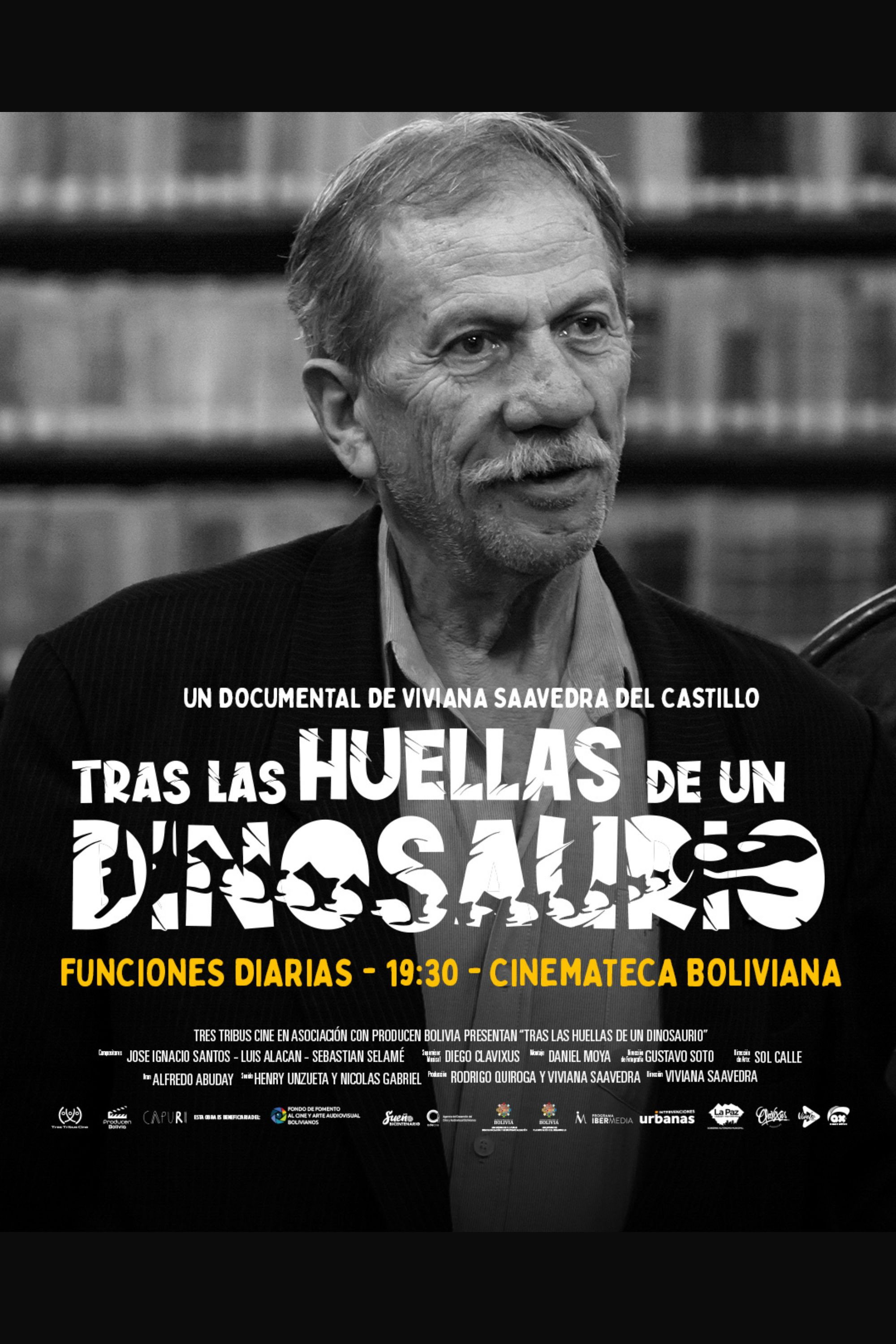 Tras las Huellas de un Dinosaurio