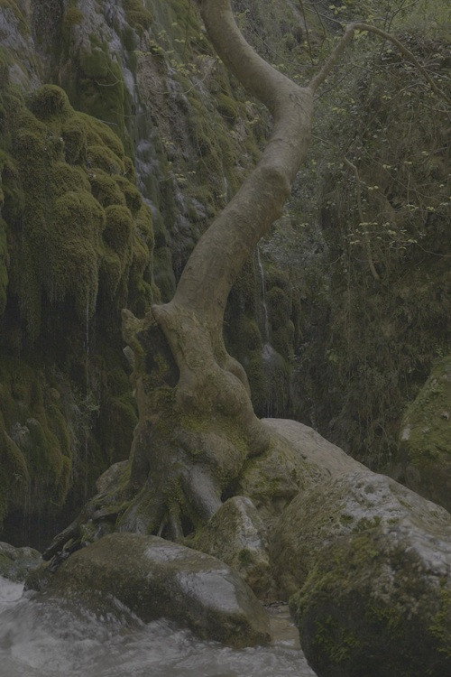 Au Fil De l'Eau