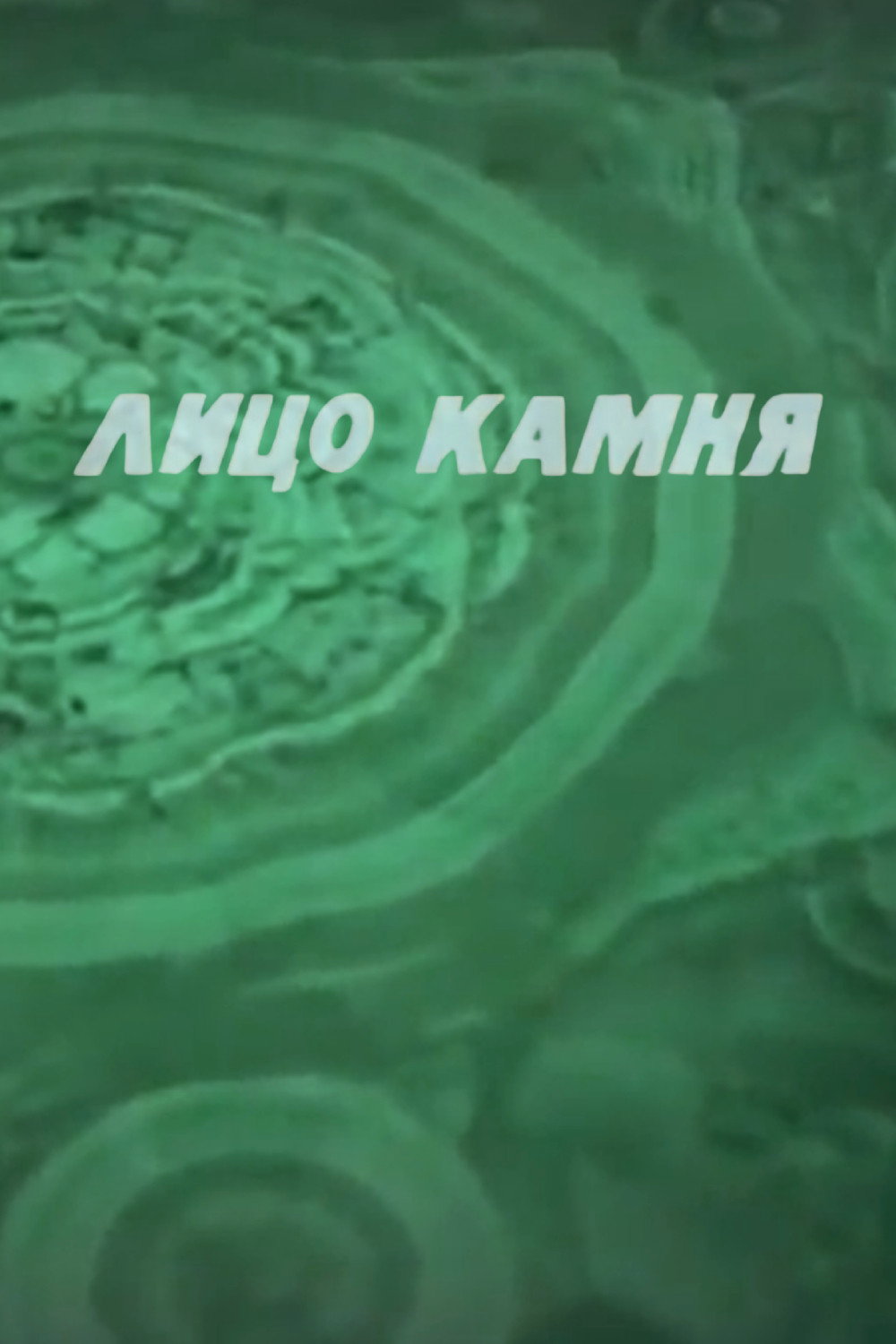 Лицо камня