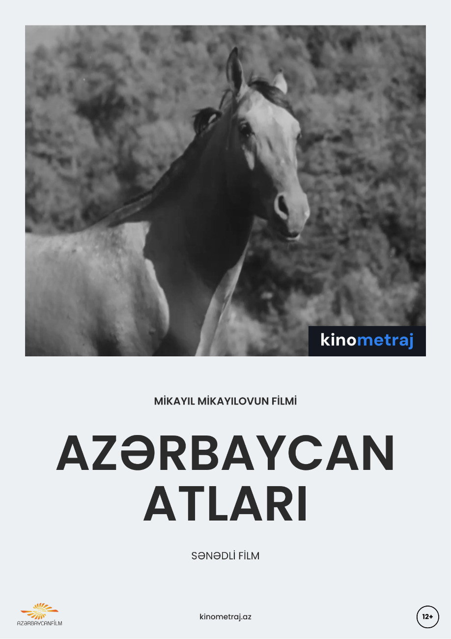 Лошади Азербайджана
