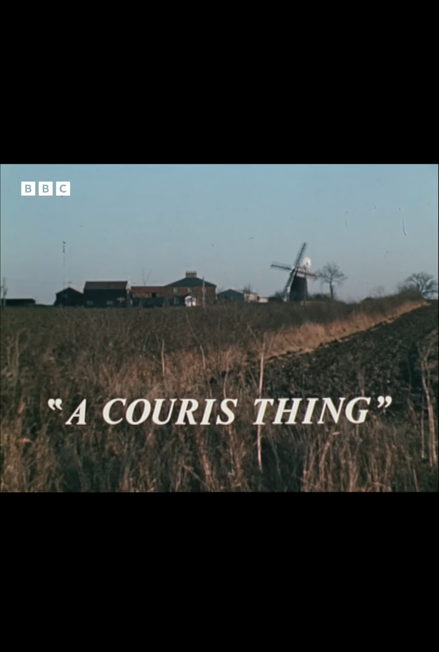 A Couris Thing