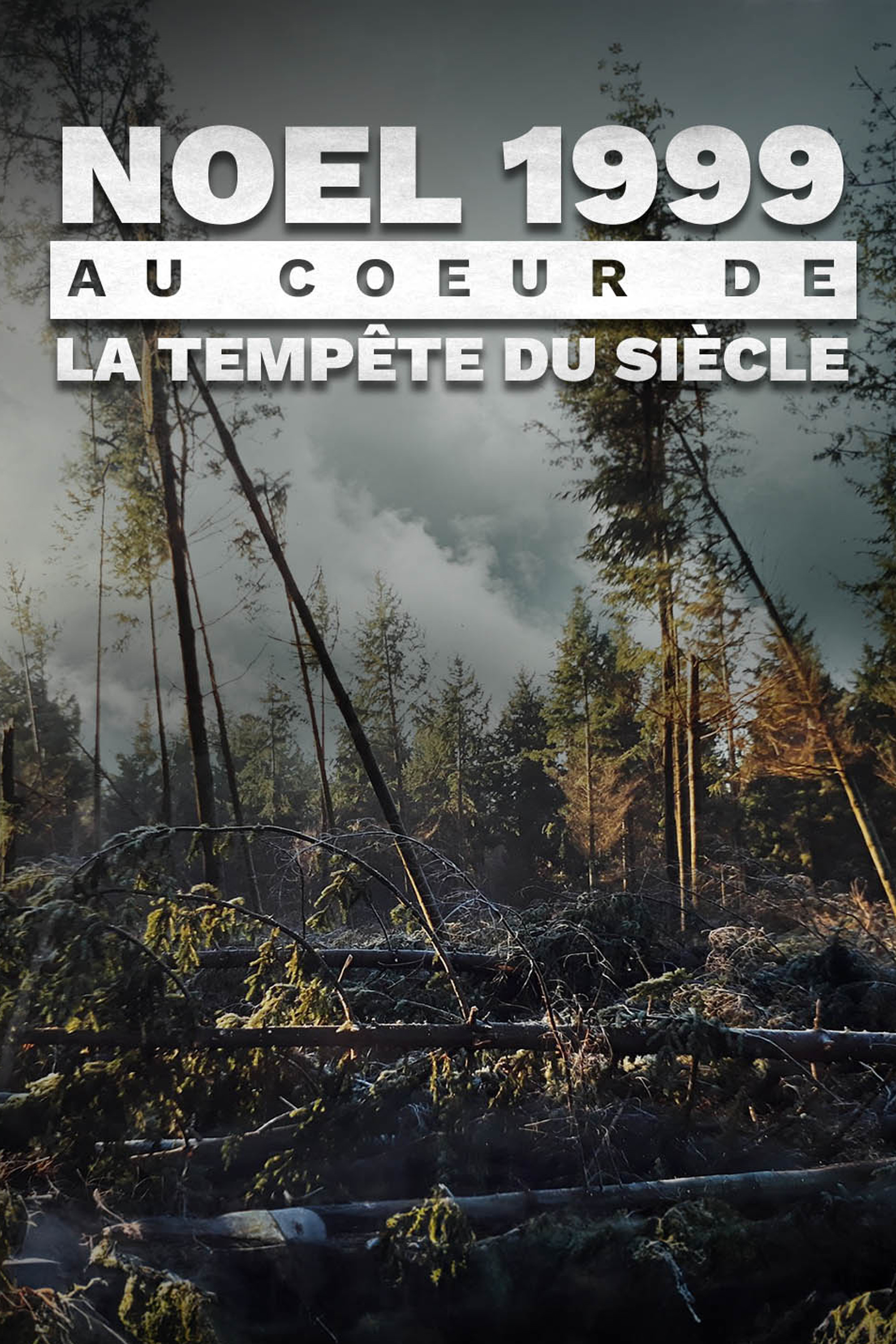 Noël 1999 : Au coeur de la tempête du siècle