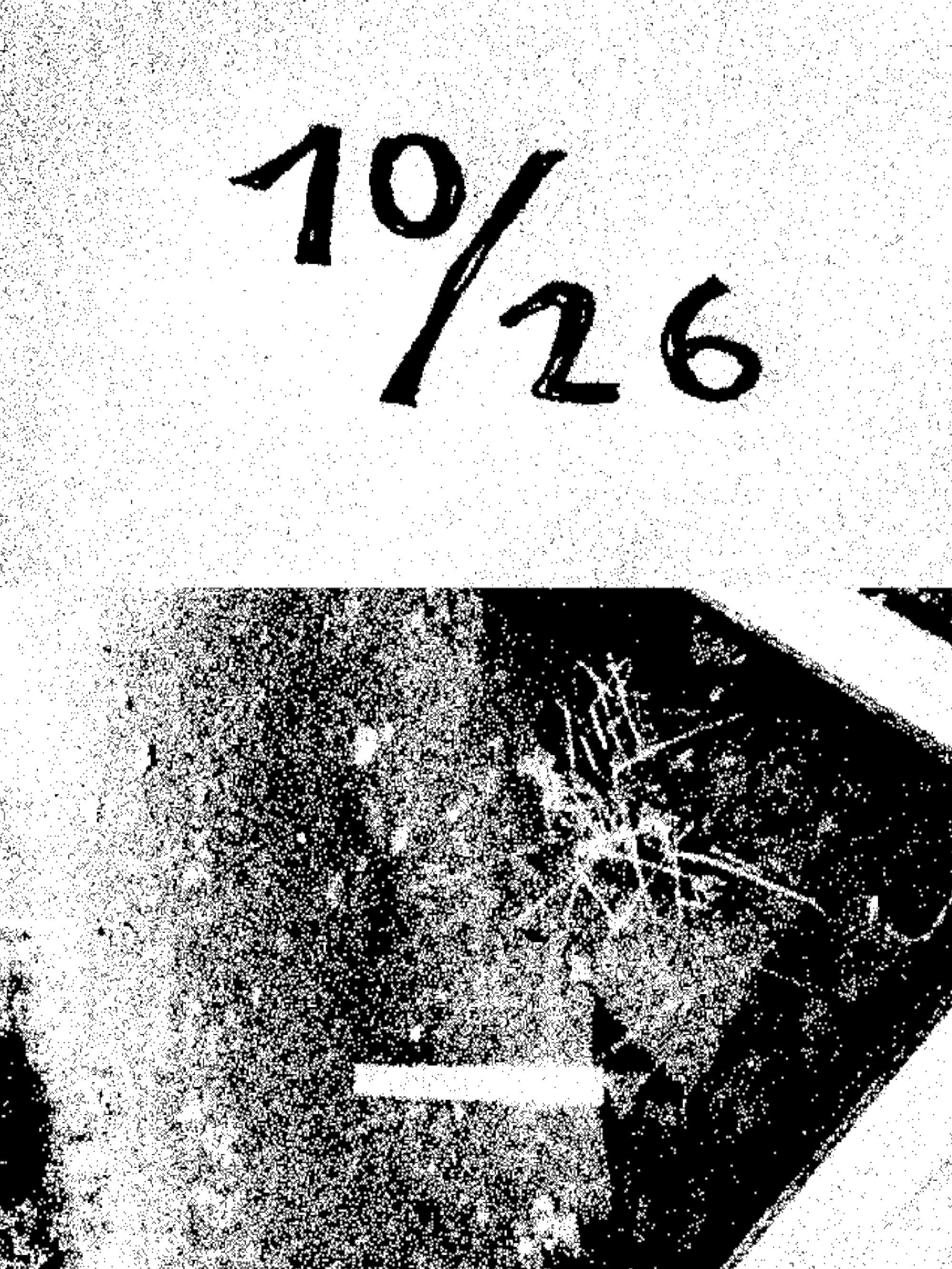 10/26