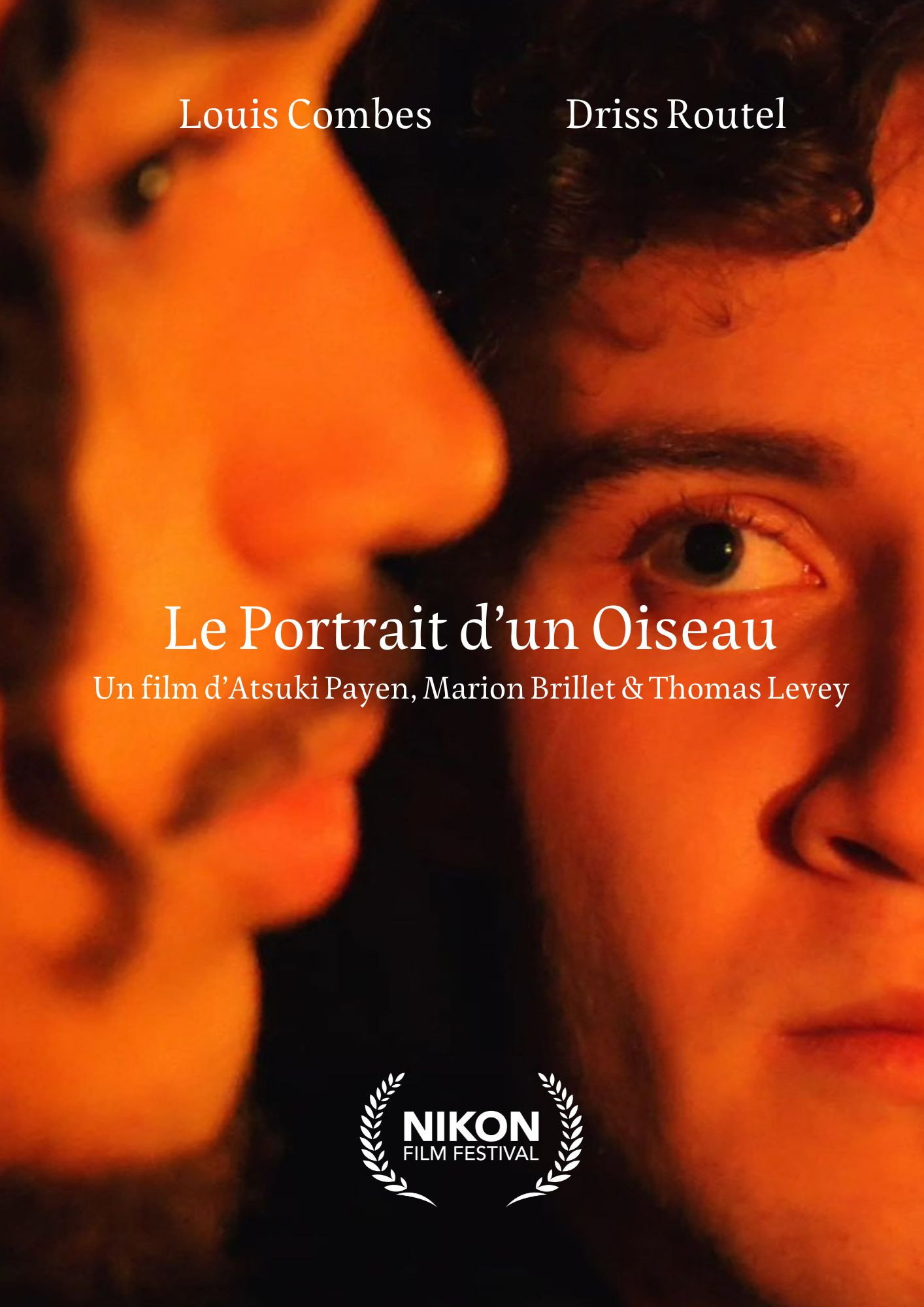 Le Portrait d'un Oiseau