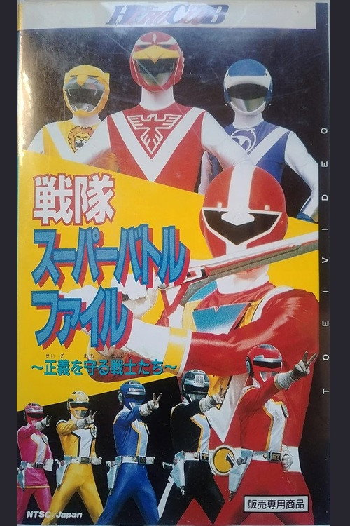 戦隊スーパーバトルファイル