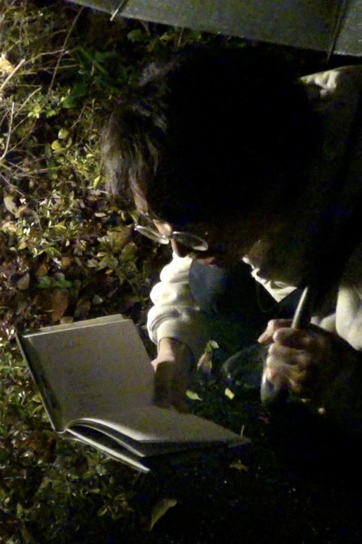 詩の声は誰の聲