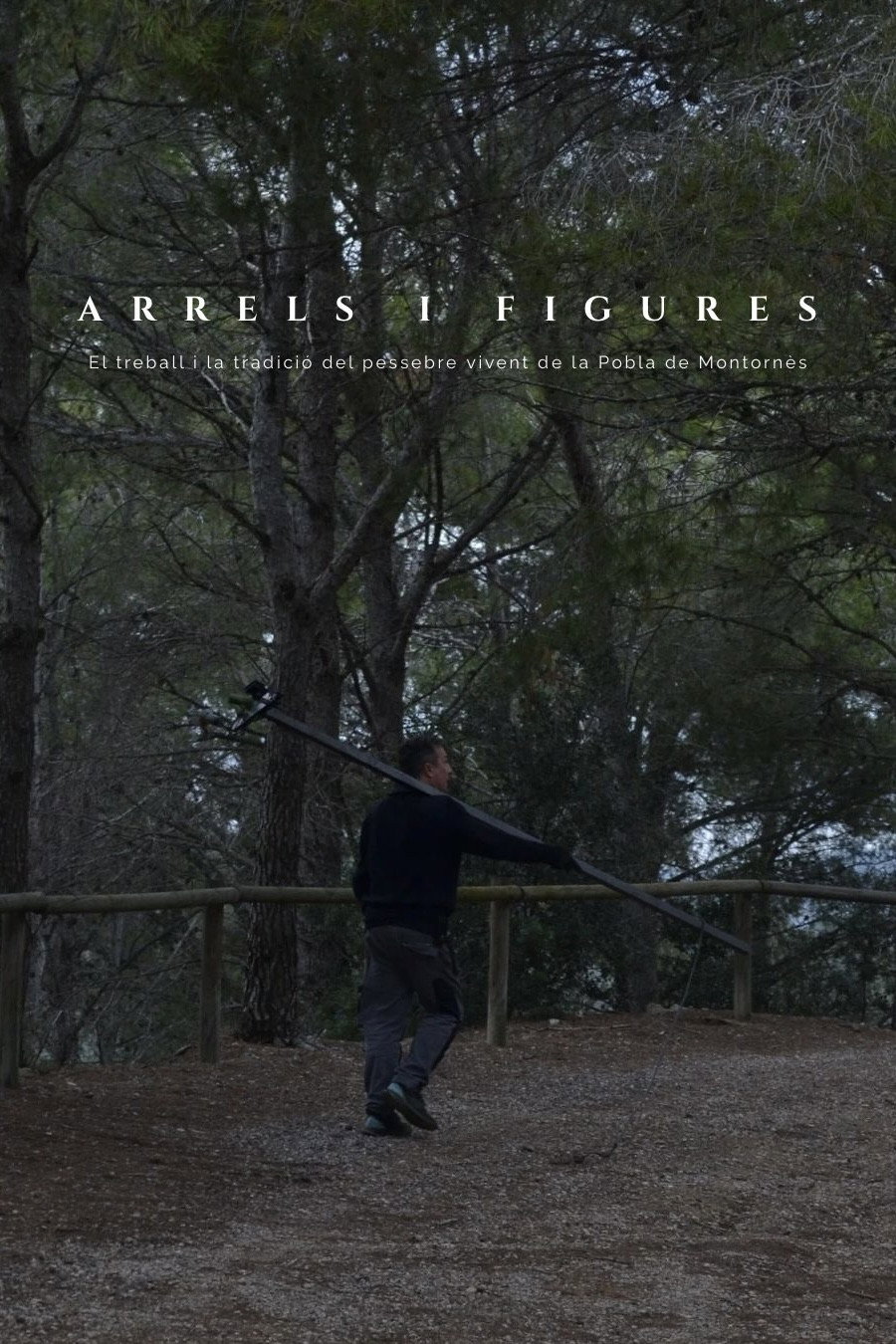 Arrels i figures