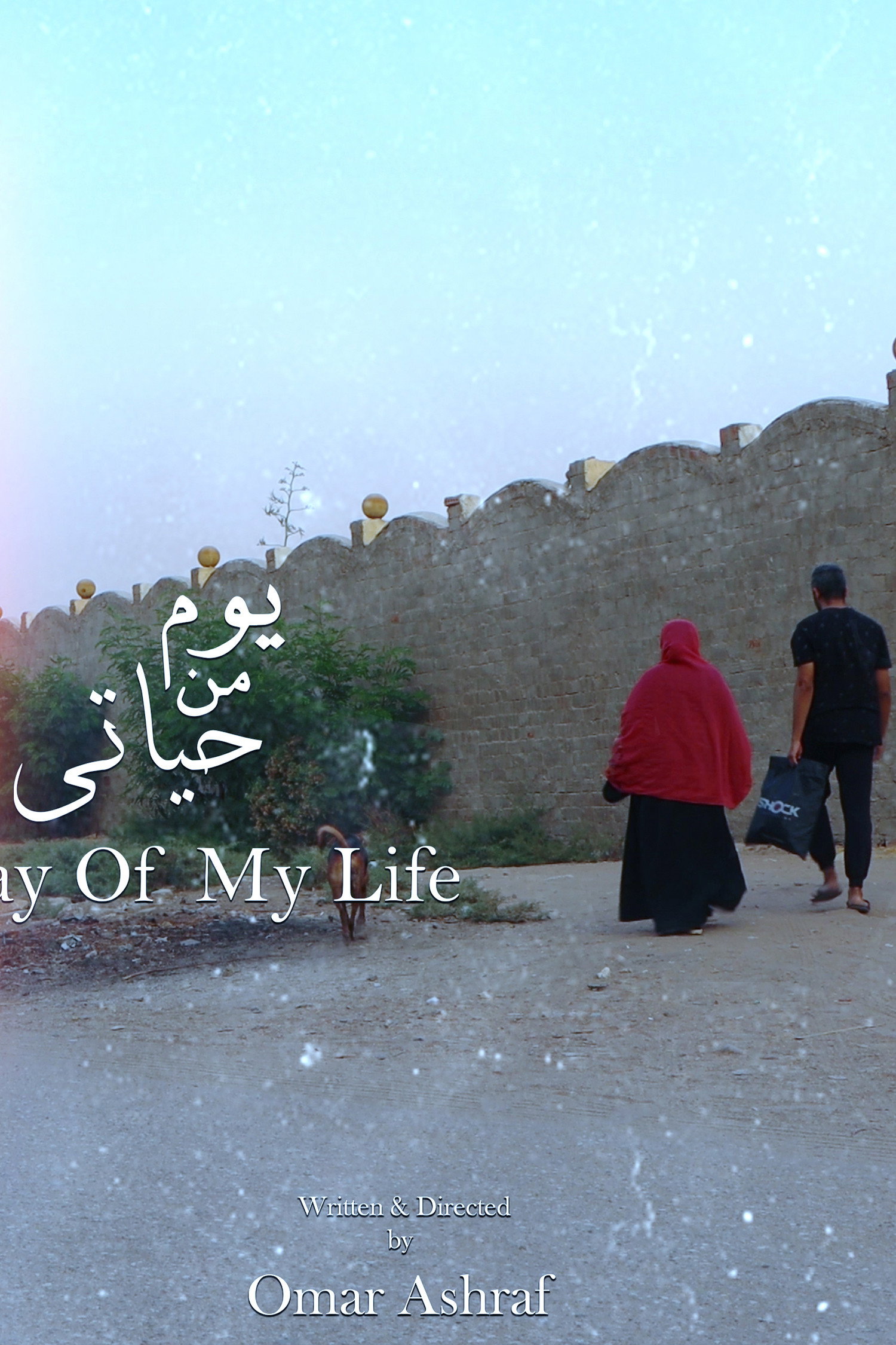 يوم من حياتي