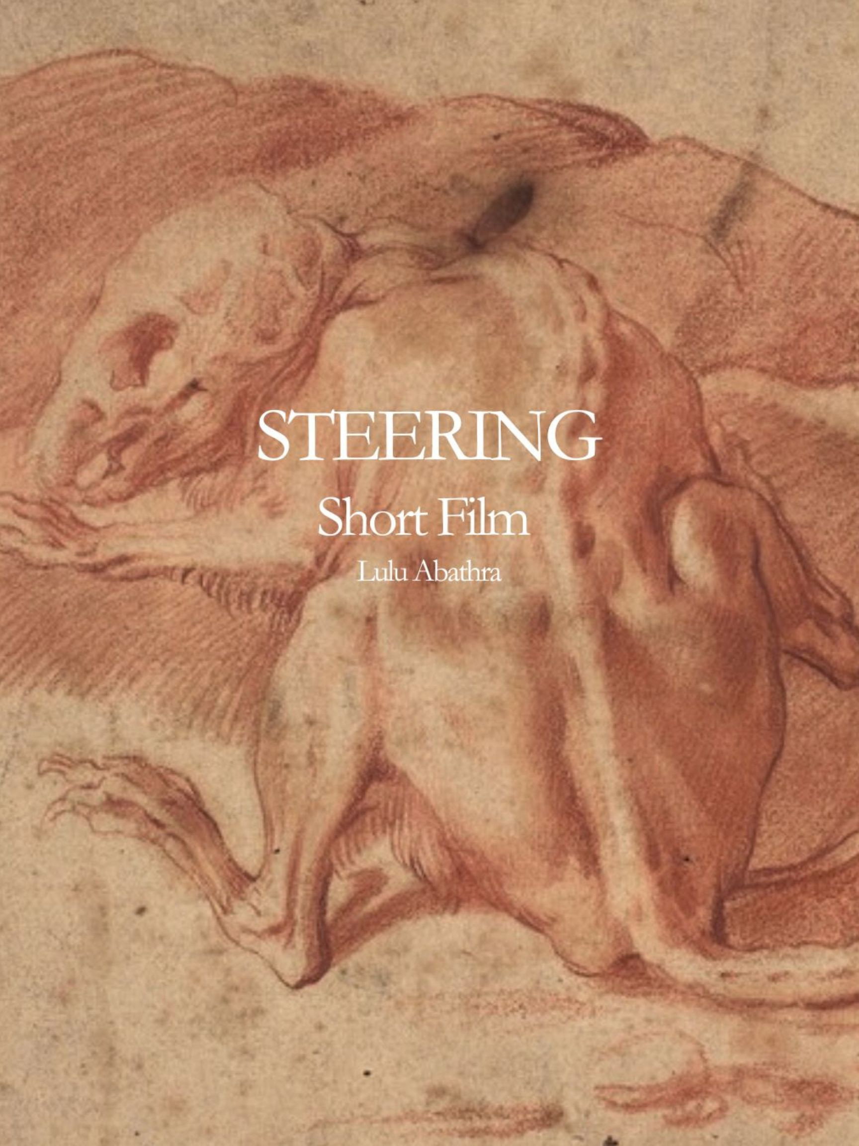 Steering