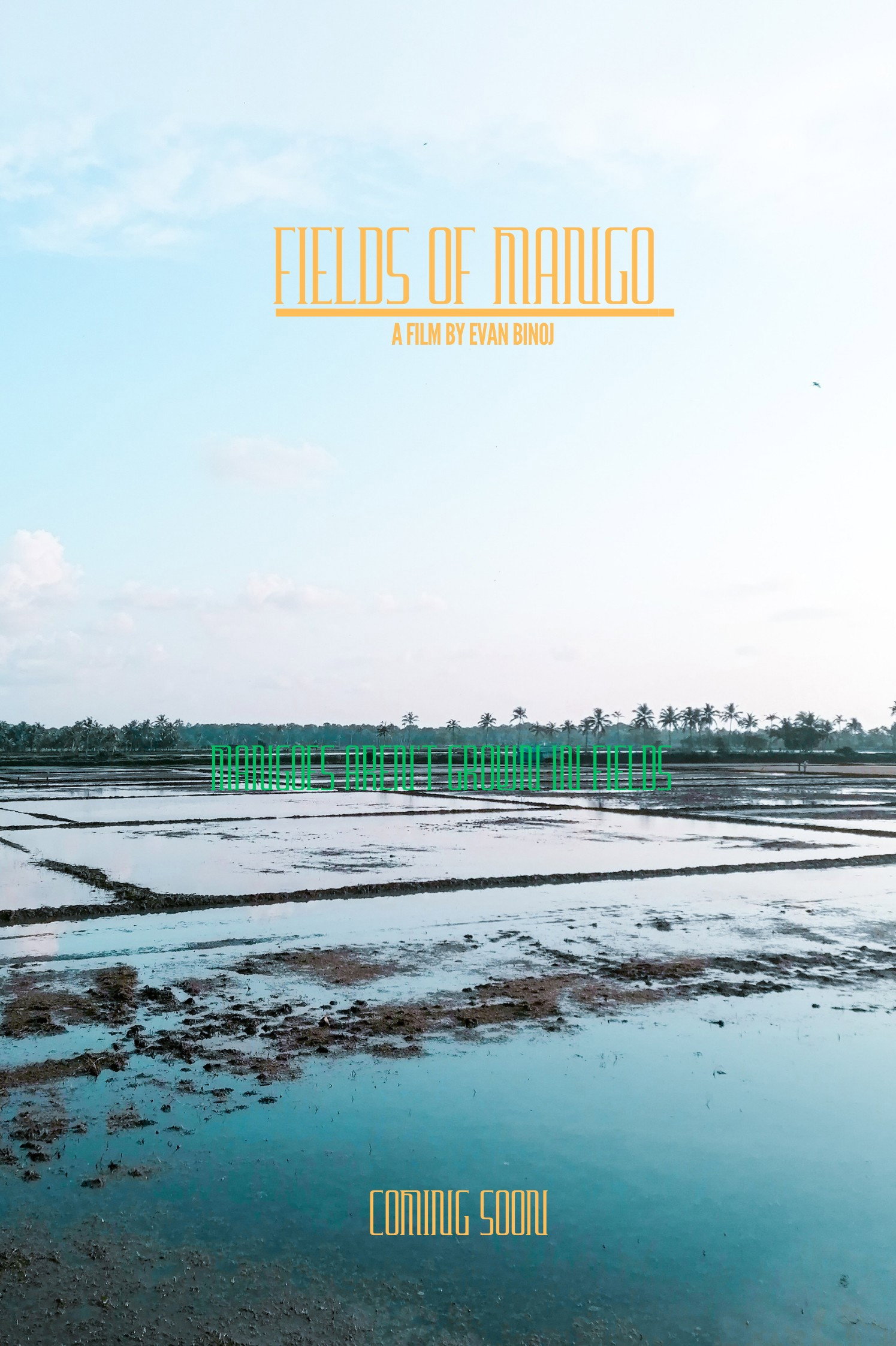 Fields of Mangoes