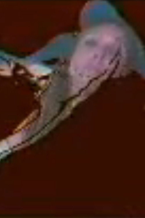 Autovideato