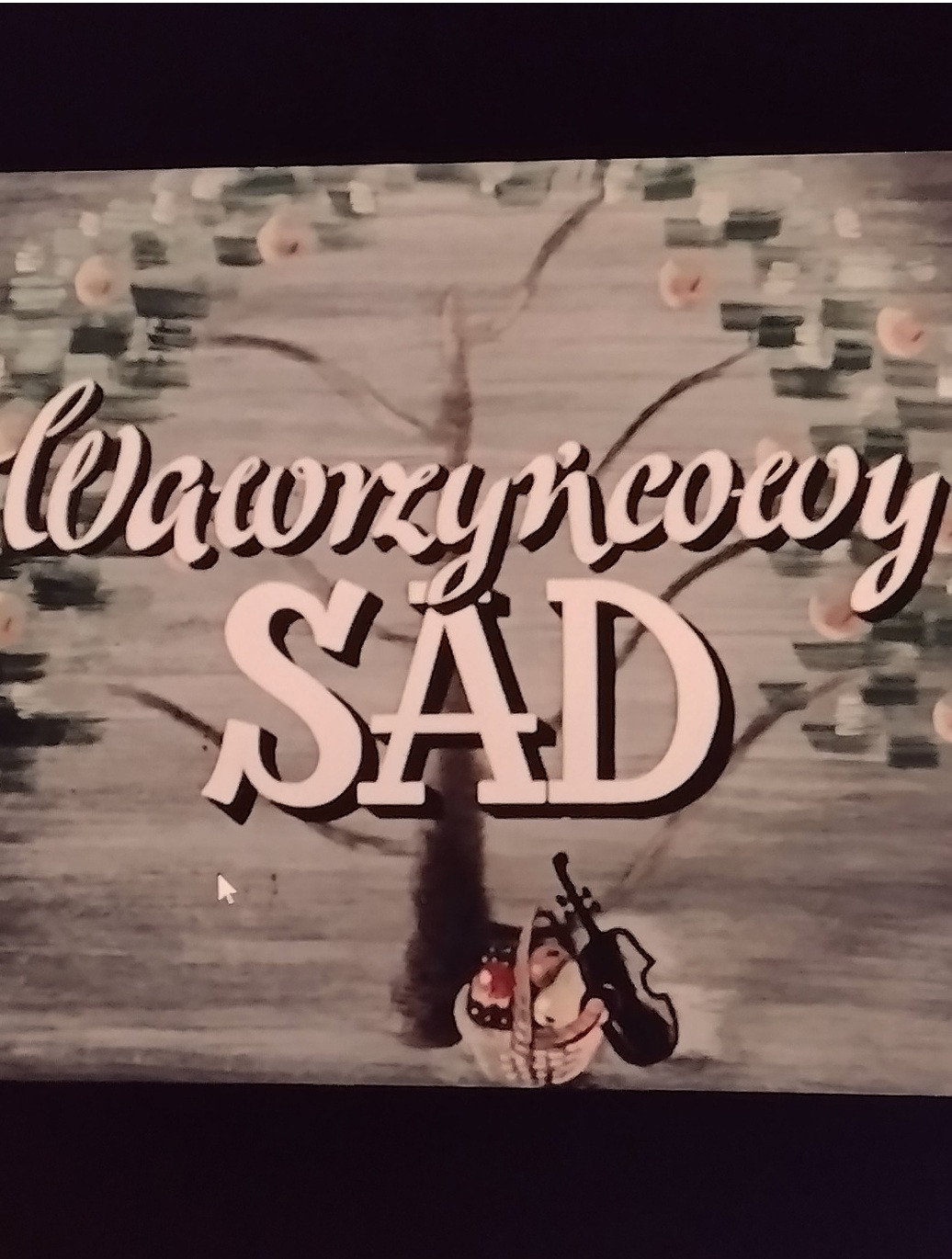 Wawrzyńcowy sad