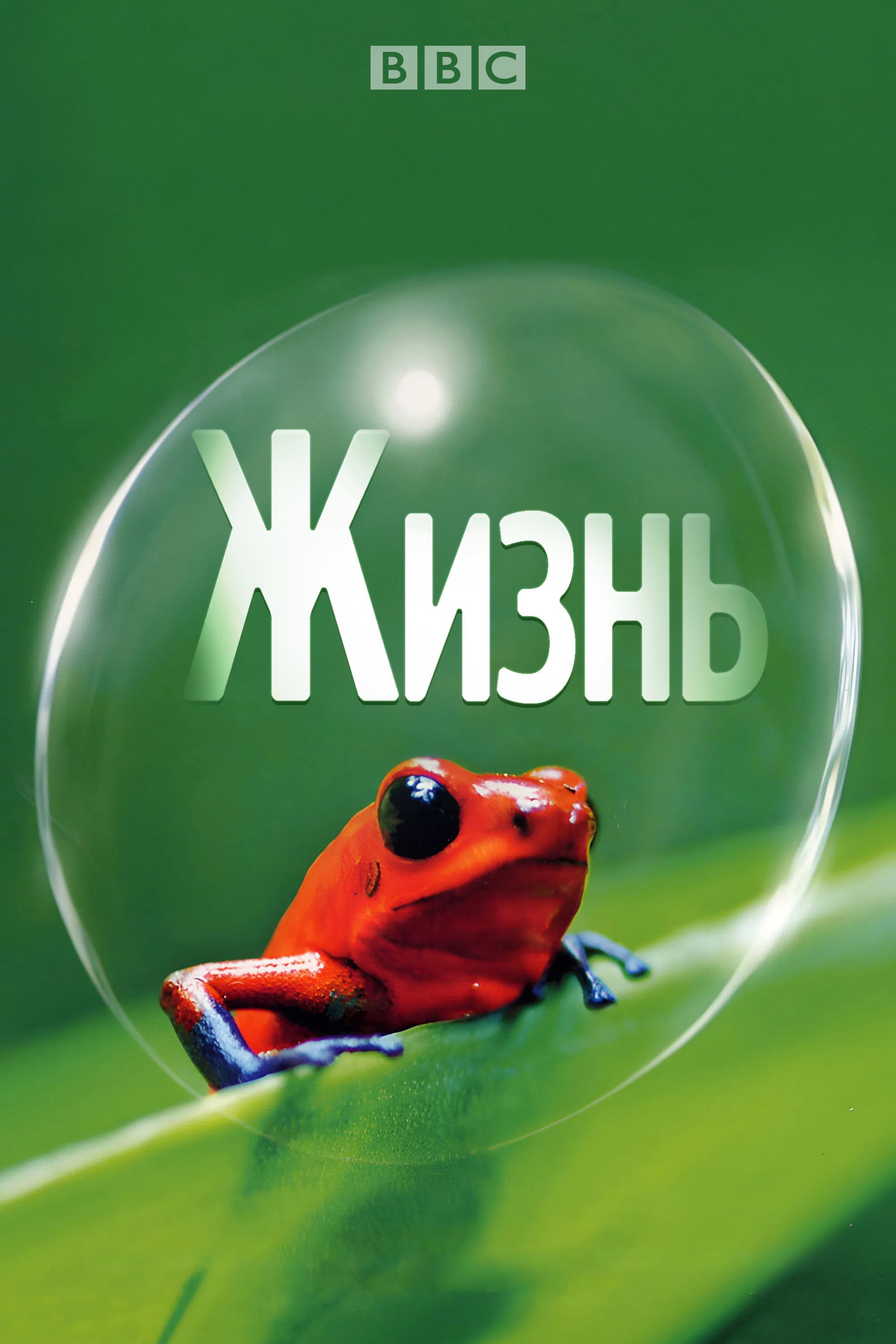 BBC: Жизнь
