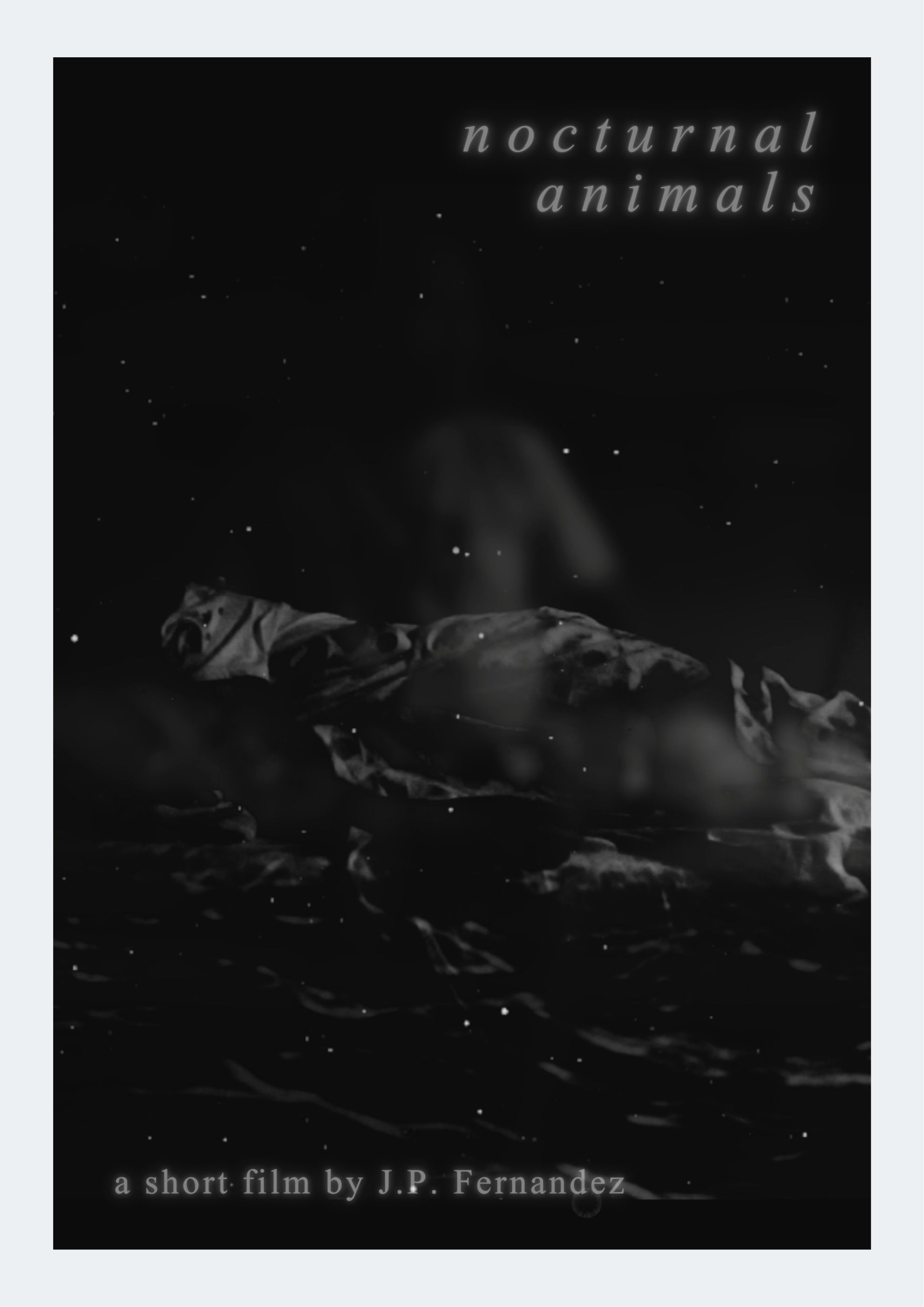 Nocturnal Animals