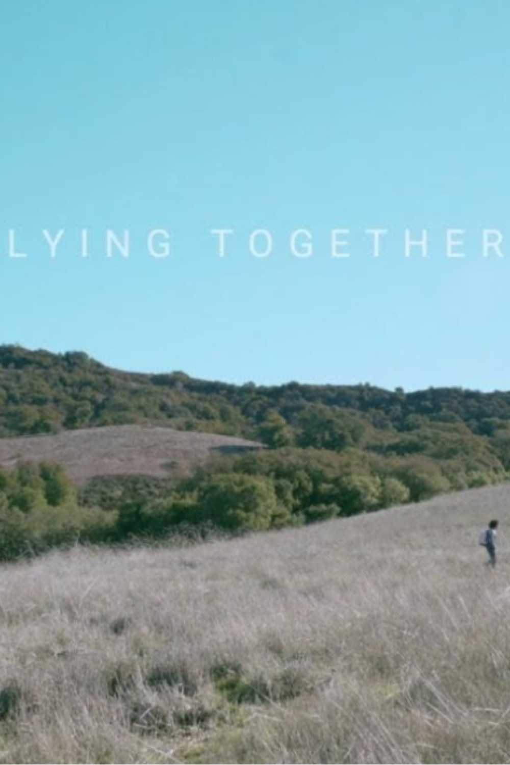 Lying Together