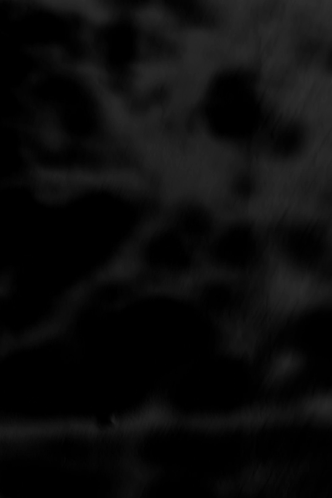 Black Trees
