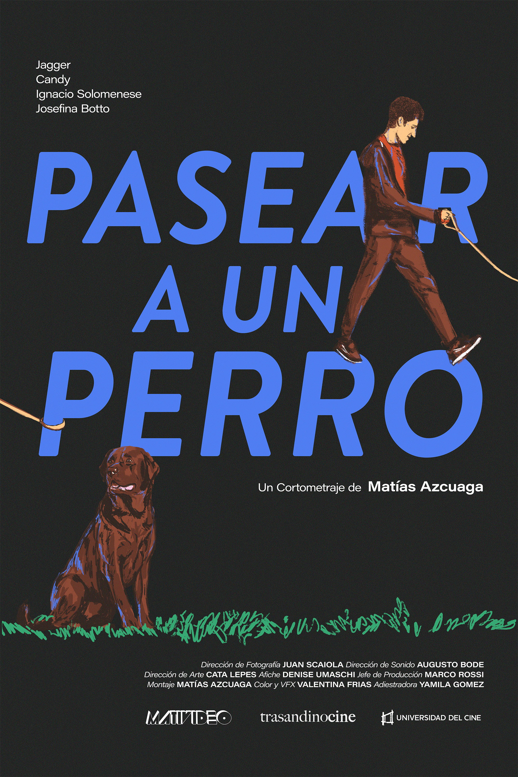Pasear a un perro