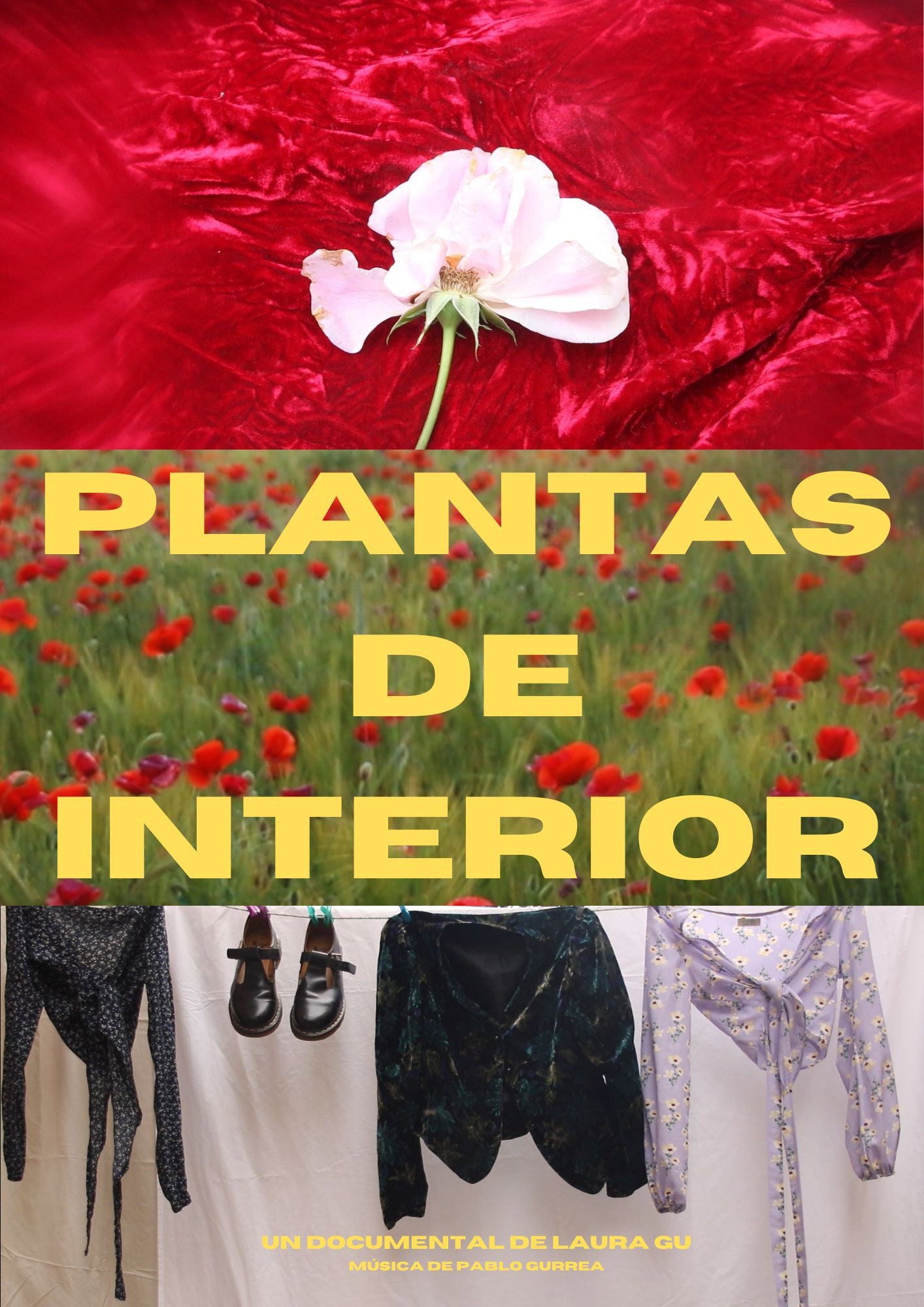 Plantas de interior