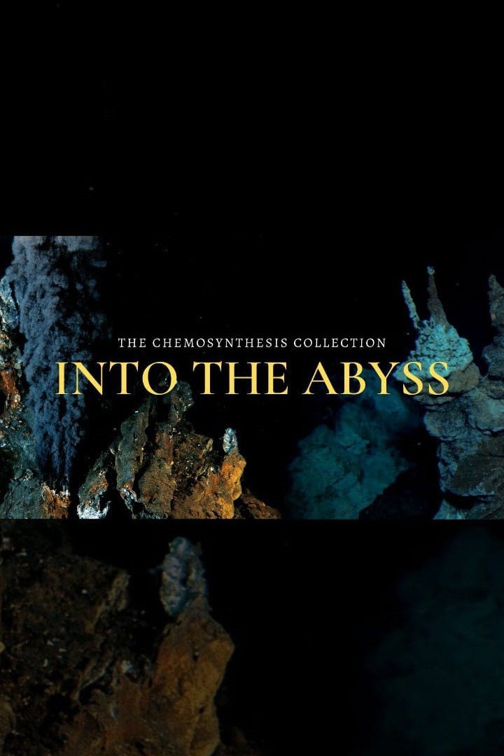 Into the Abyss: Chemosynthetic Oases