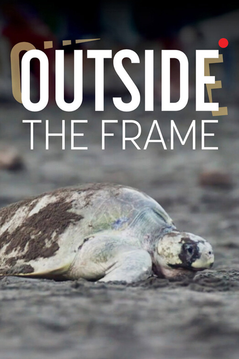 Outside The Frame